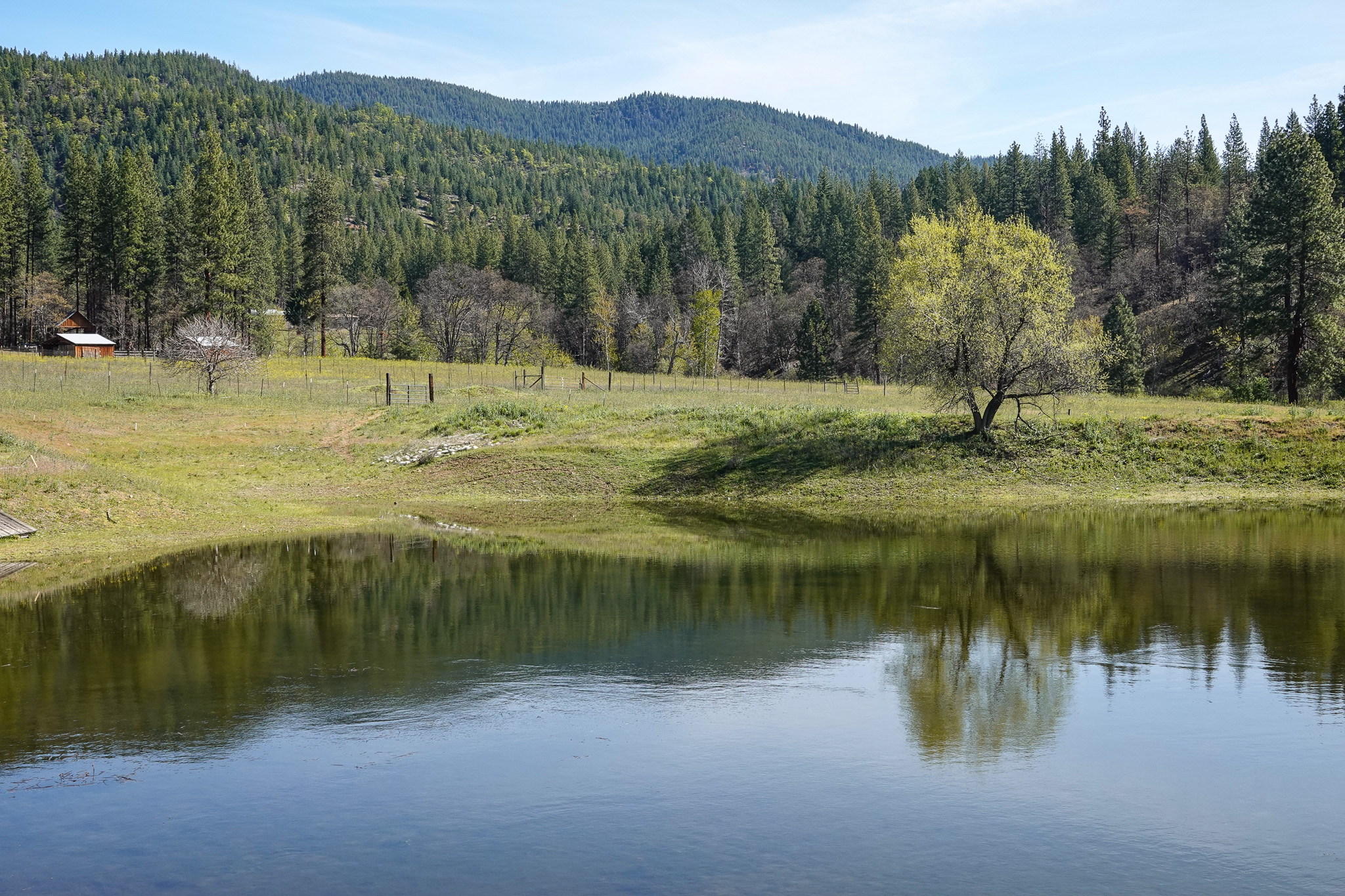 Triple D Ranch