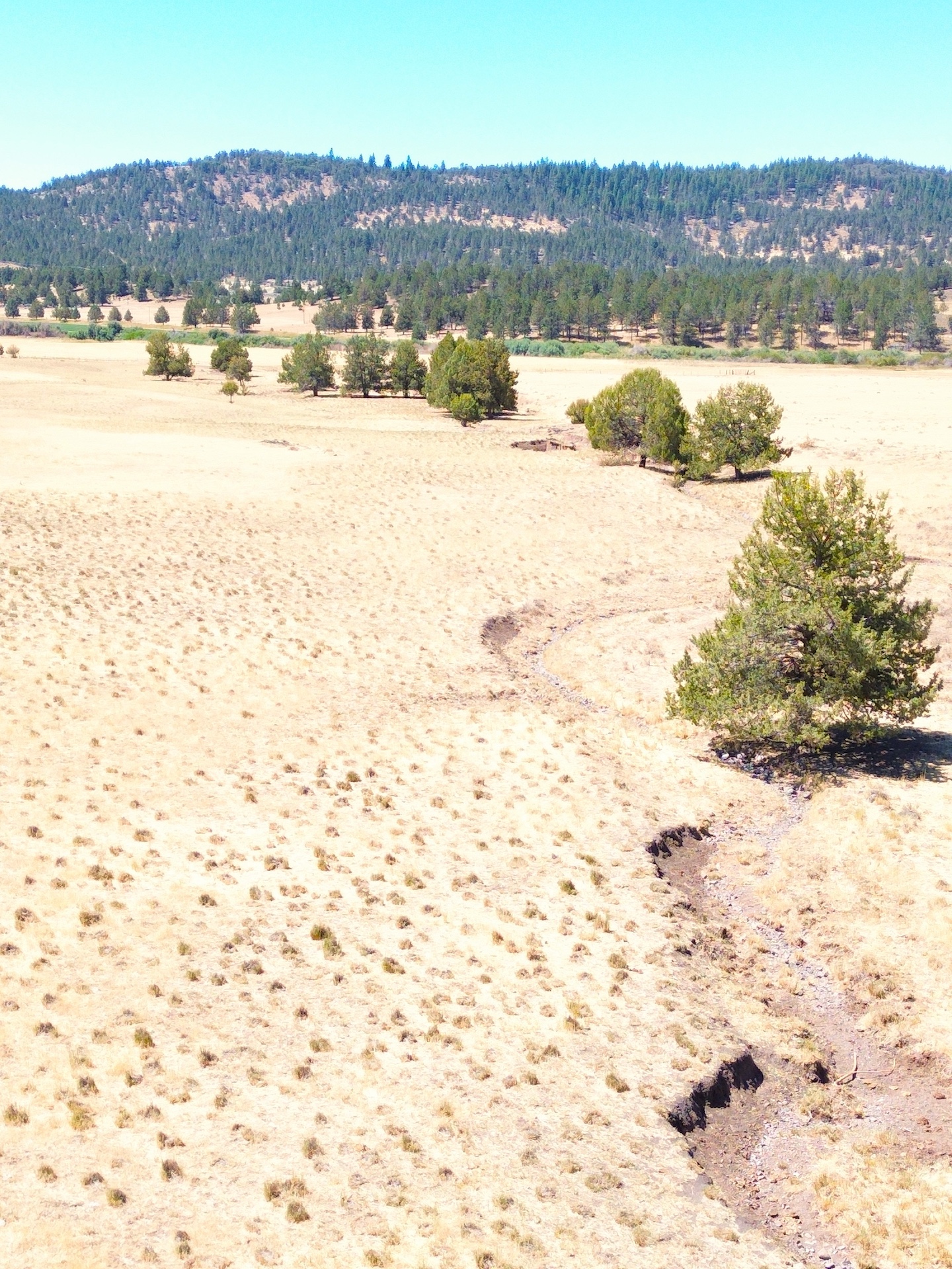 Crane Ranch