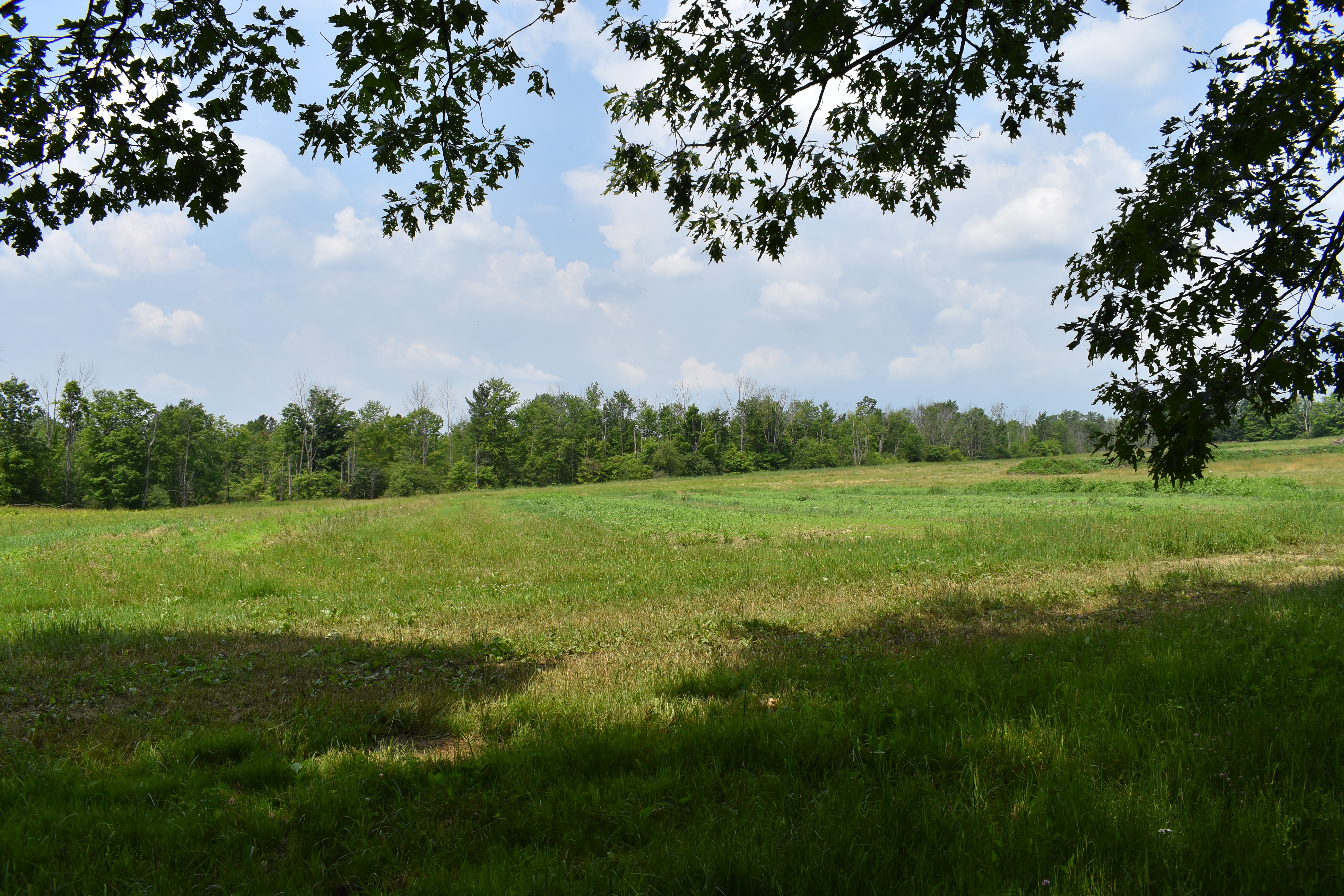 Listing Image 50