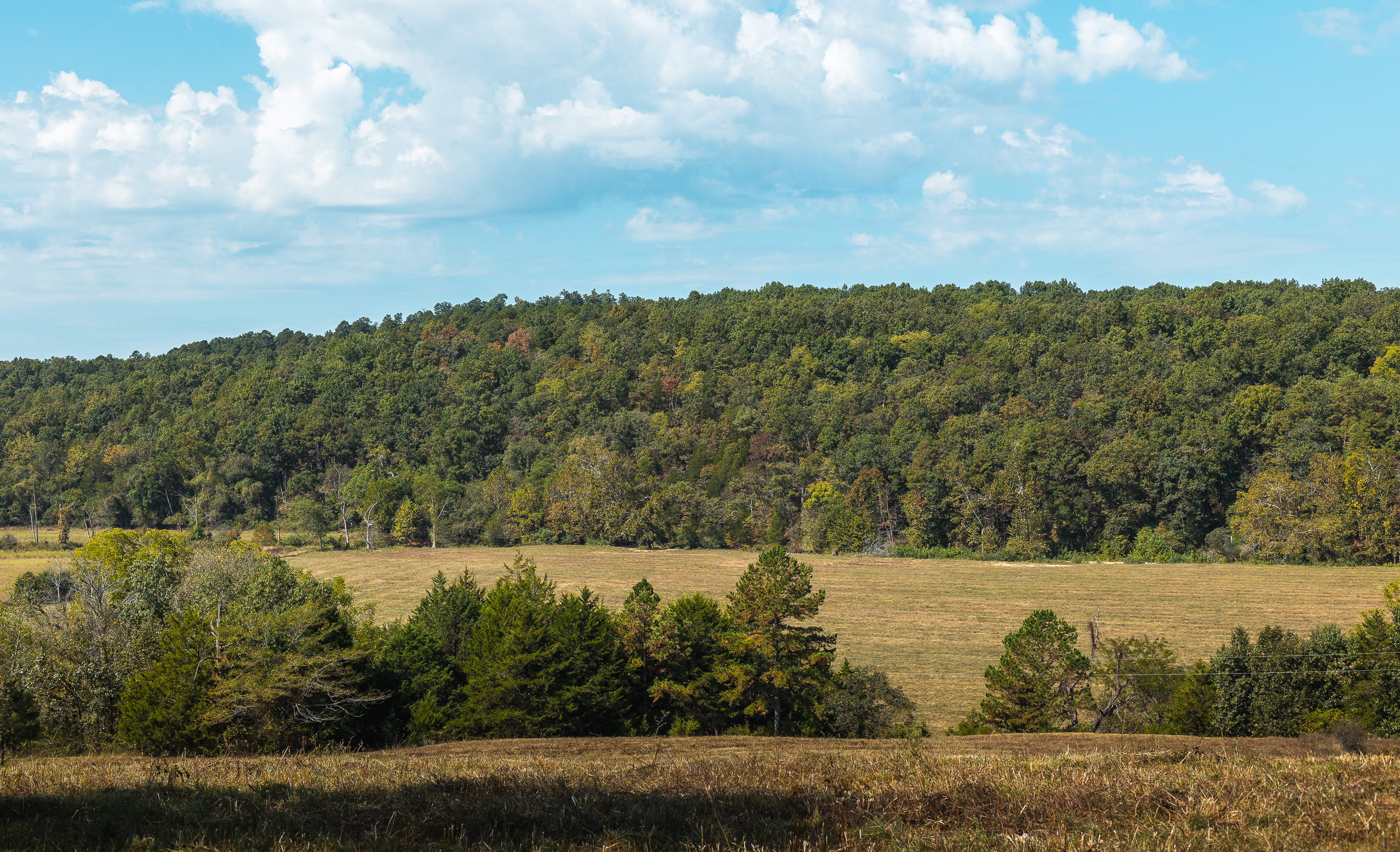 Ashley Creek Ranch 329