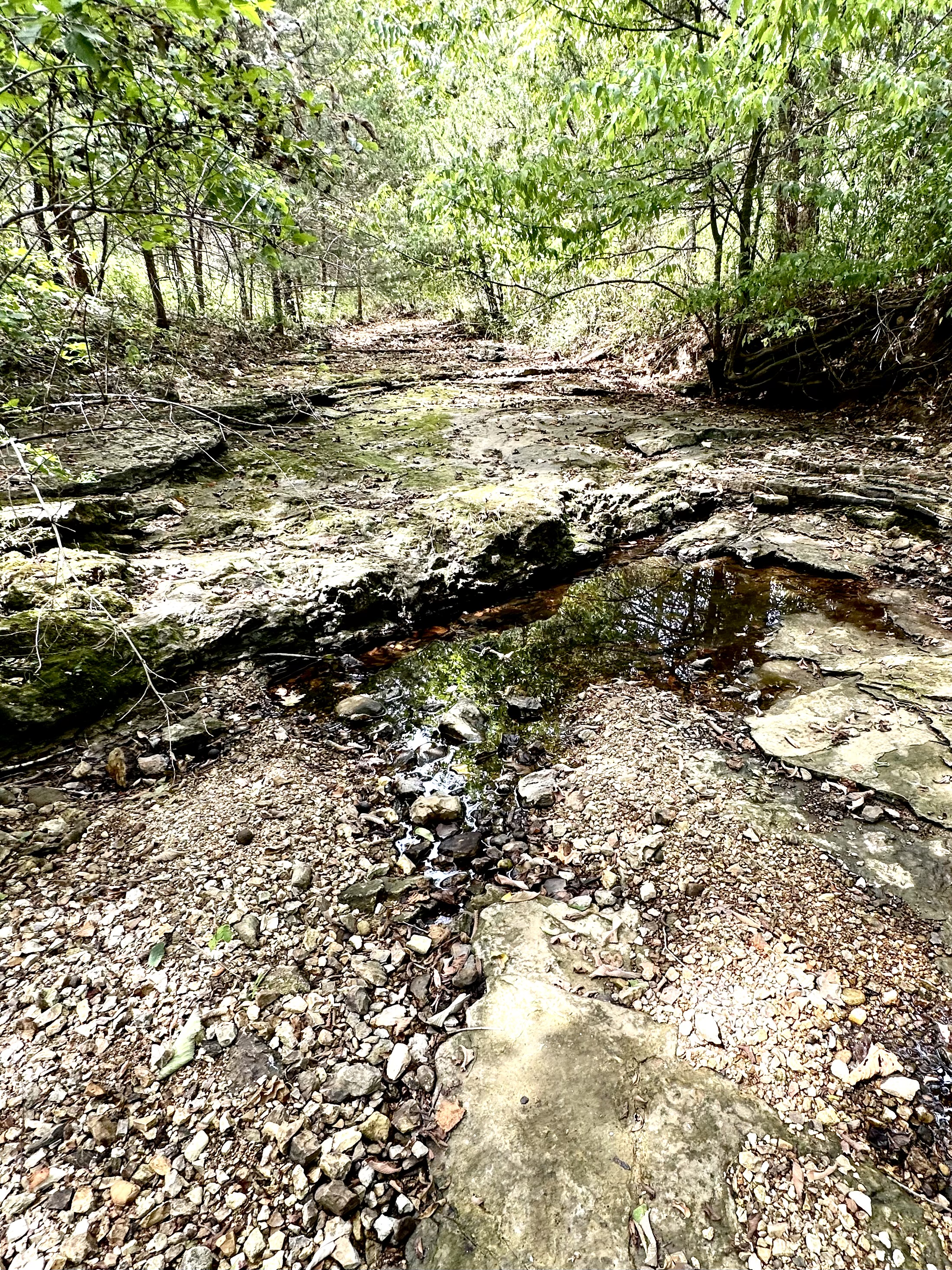 Hickory Hill Hollow