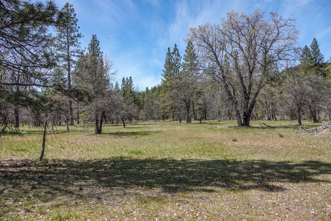 Listing Image 36