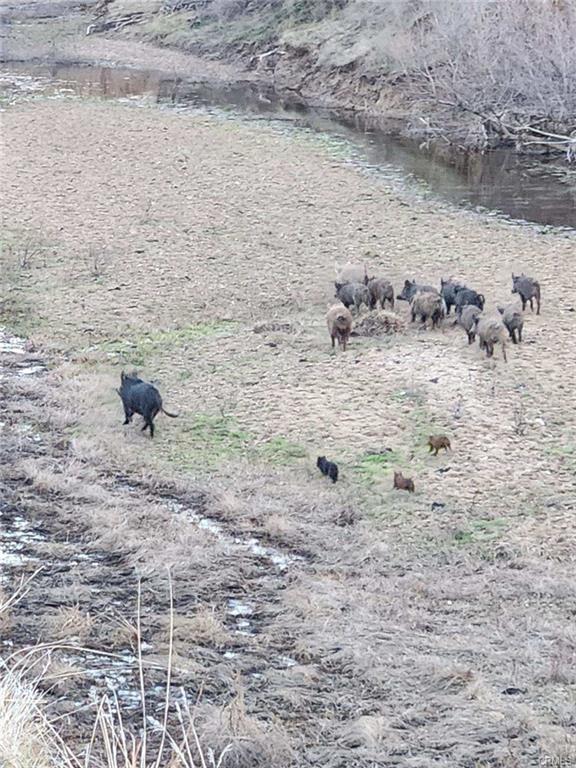 Pritchard Sumner Ranch