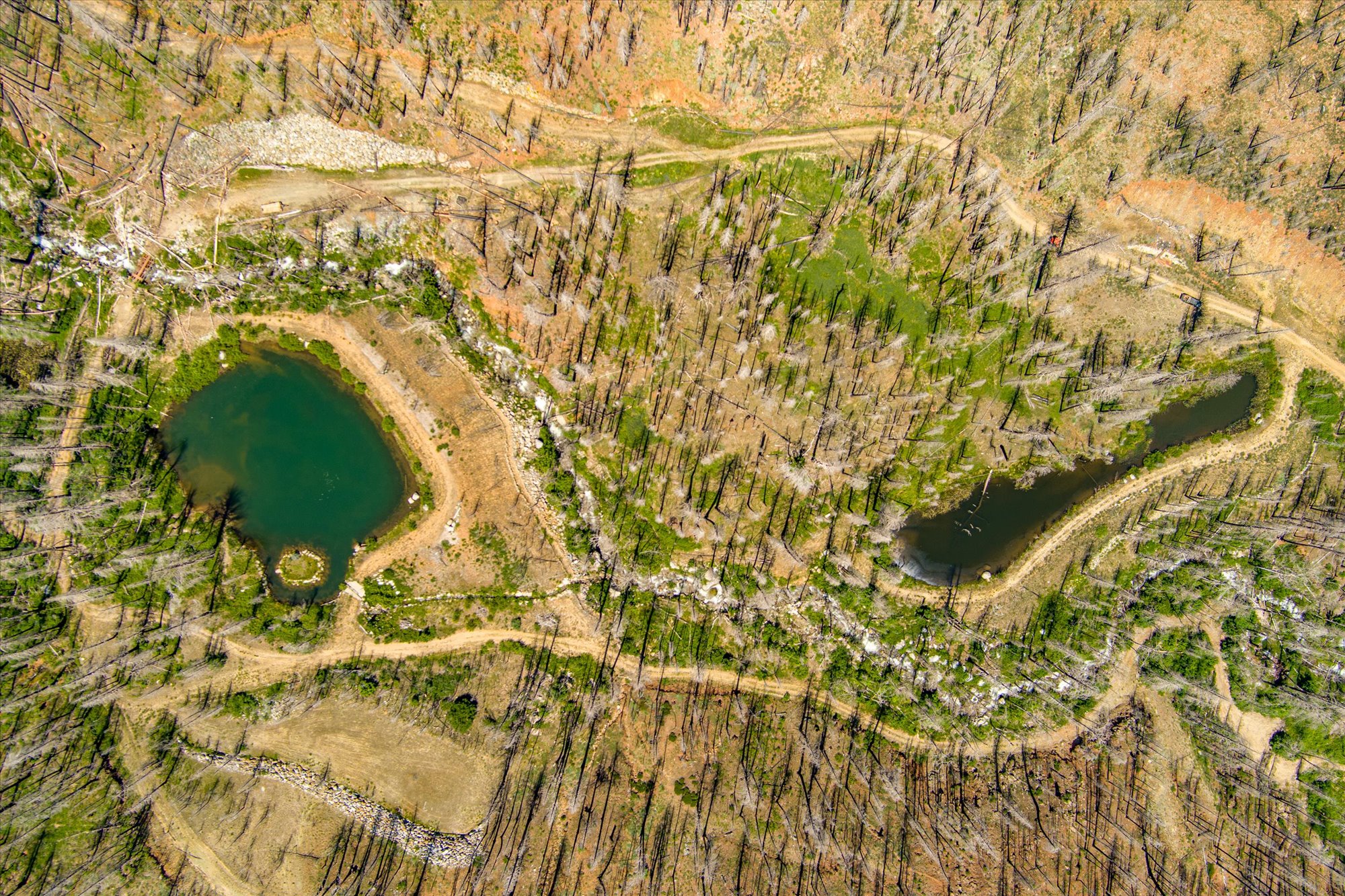 Almay Ranch