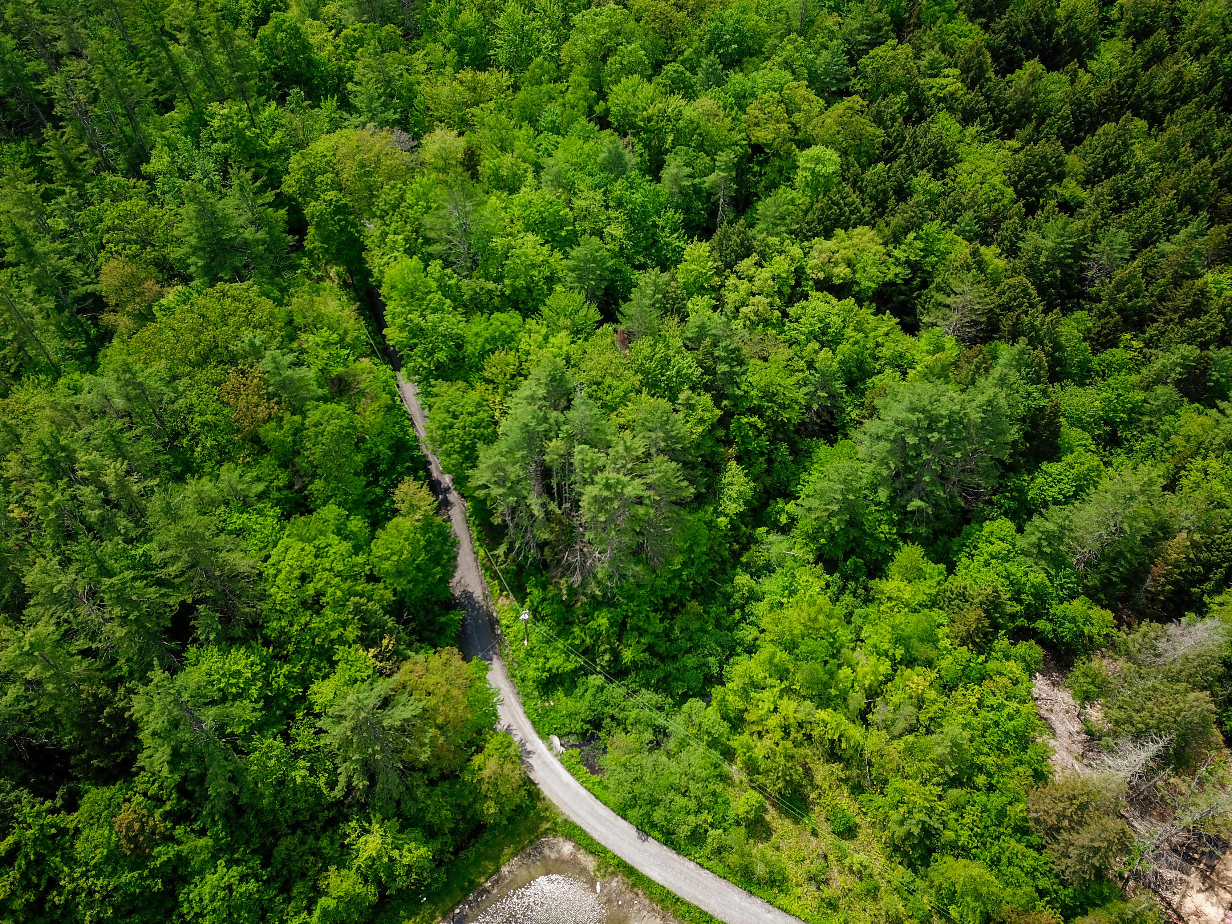 184 Schoolhouse Rd Jamaica
