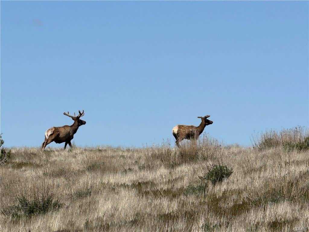 Pritchard Sumner Ranch