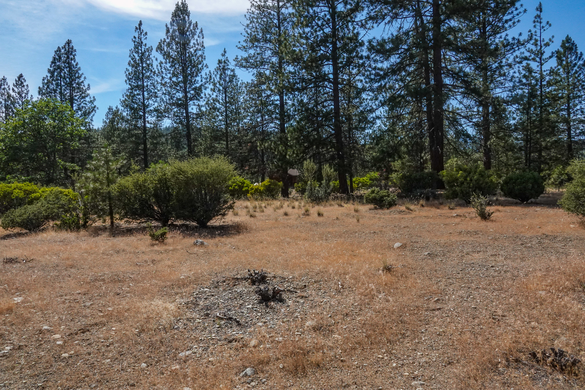 Listing Image 48