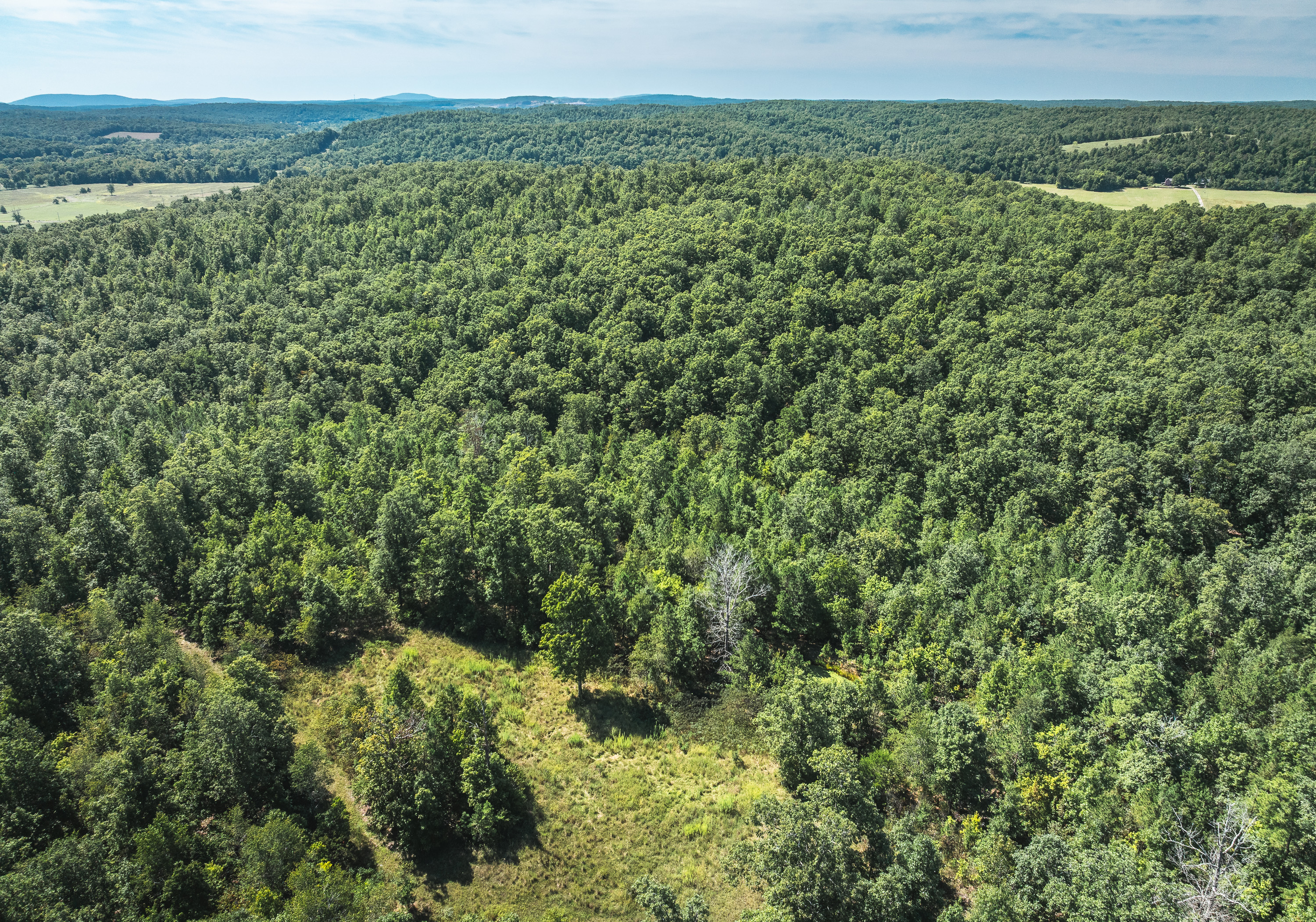 Ozark Wilderness Retreat
