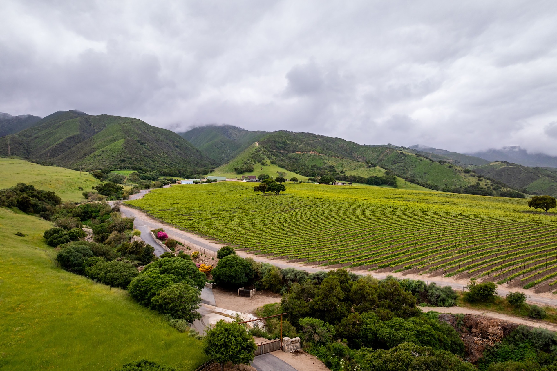 Boekenoogen Santa Lucia Highlands Vineyard