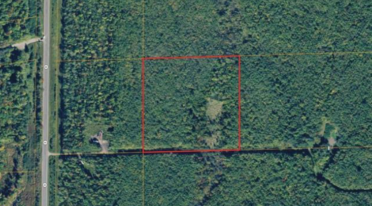 Listing Image 10