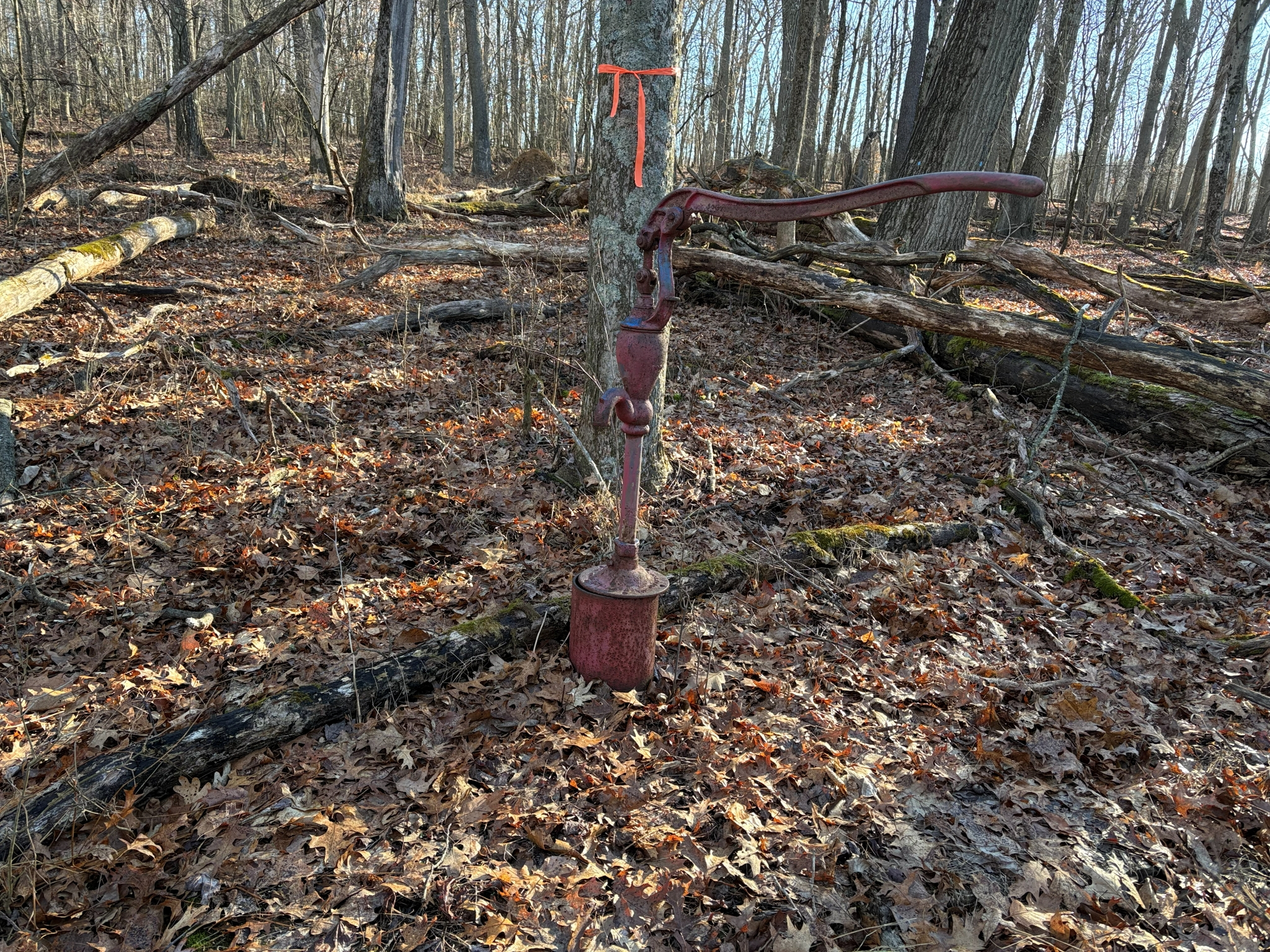 Listing Image 90