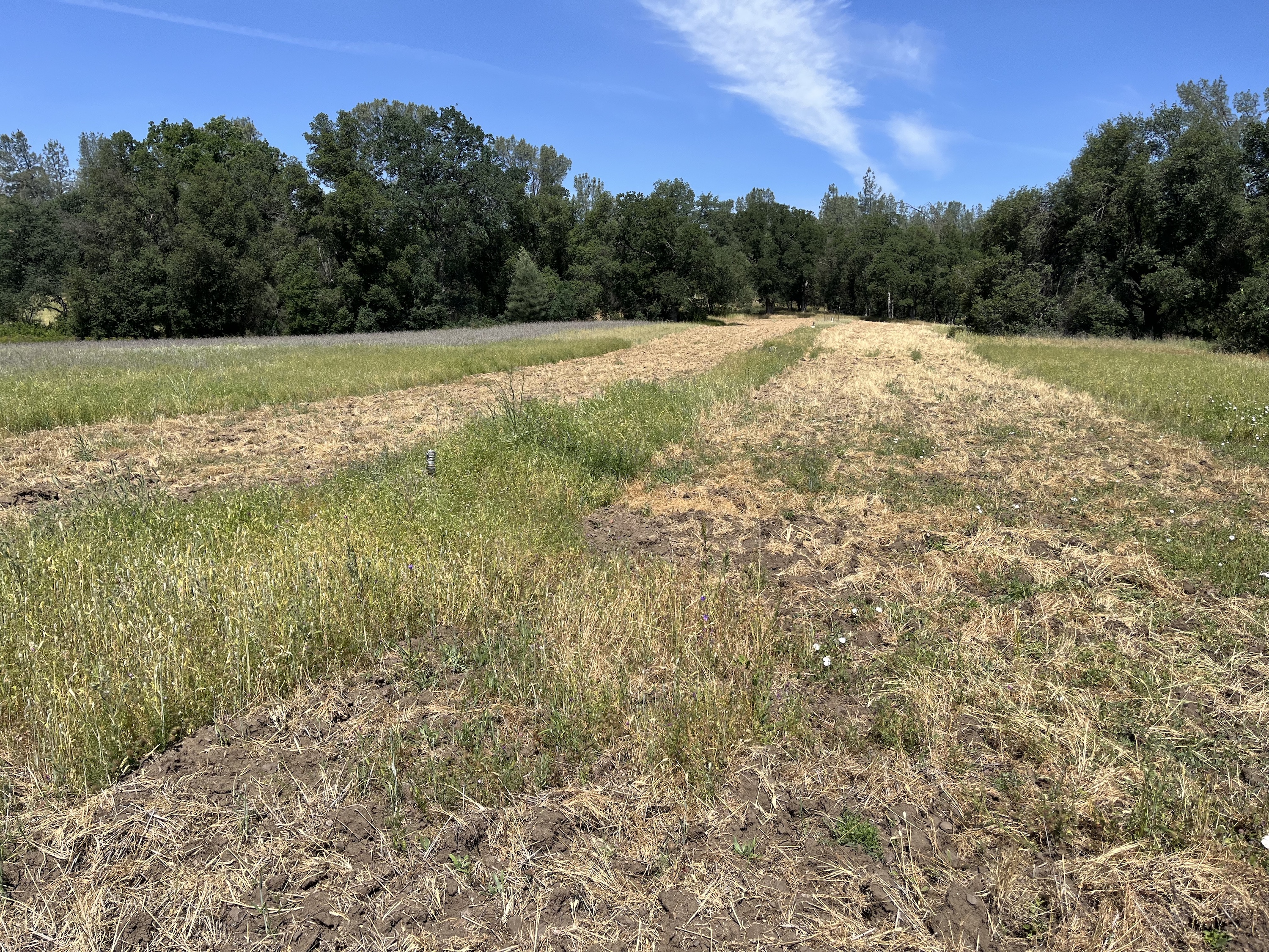 Listing Image 28