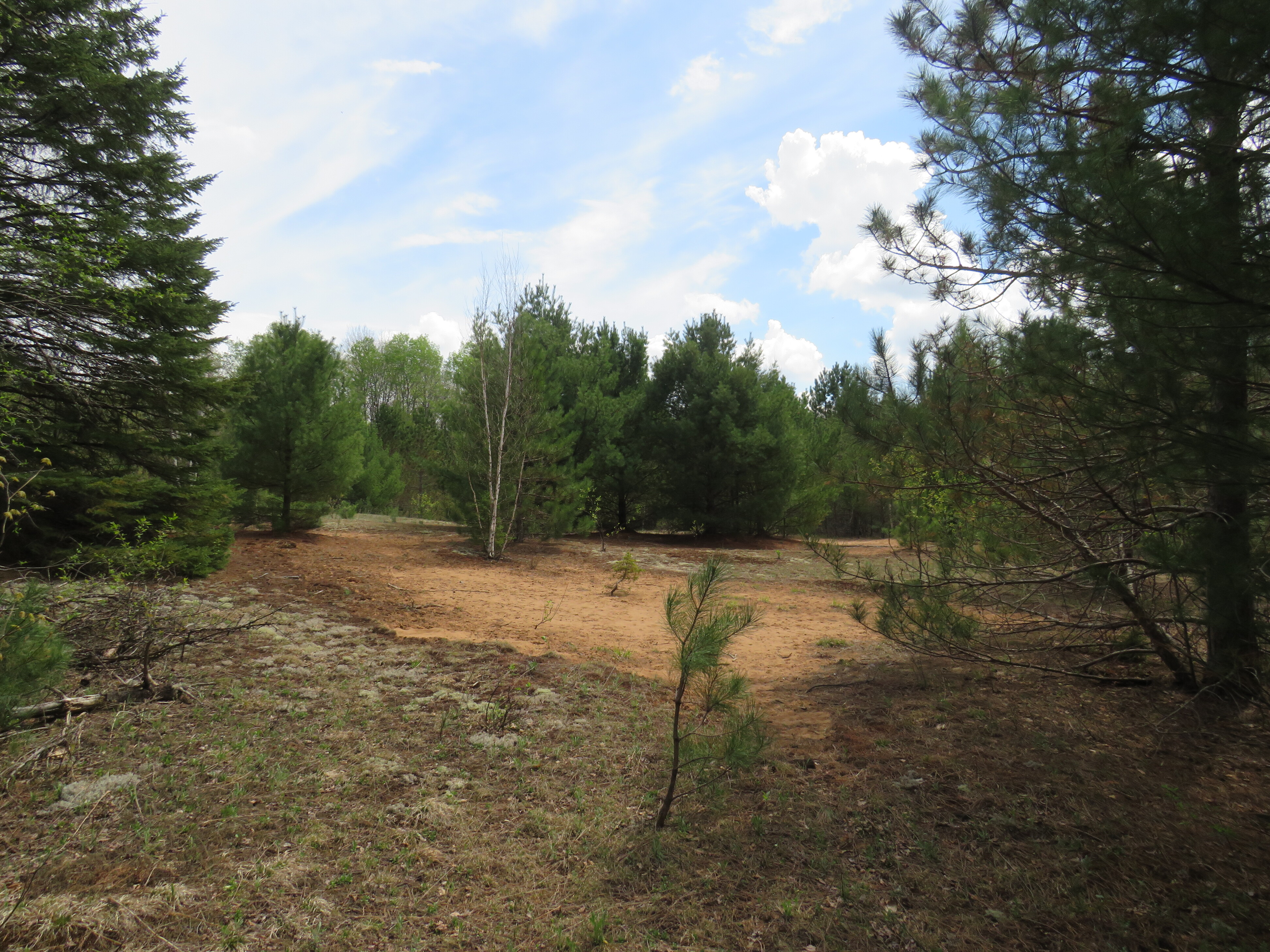 160 Acre Wilderness Retreat 50175391