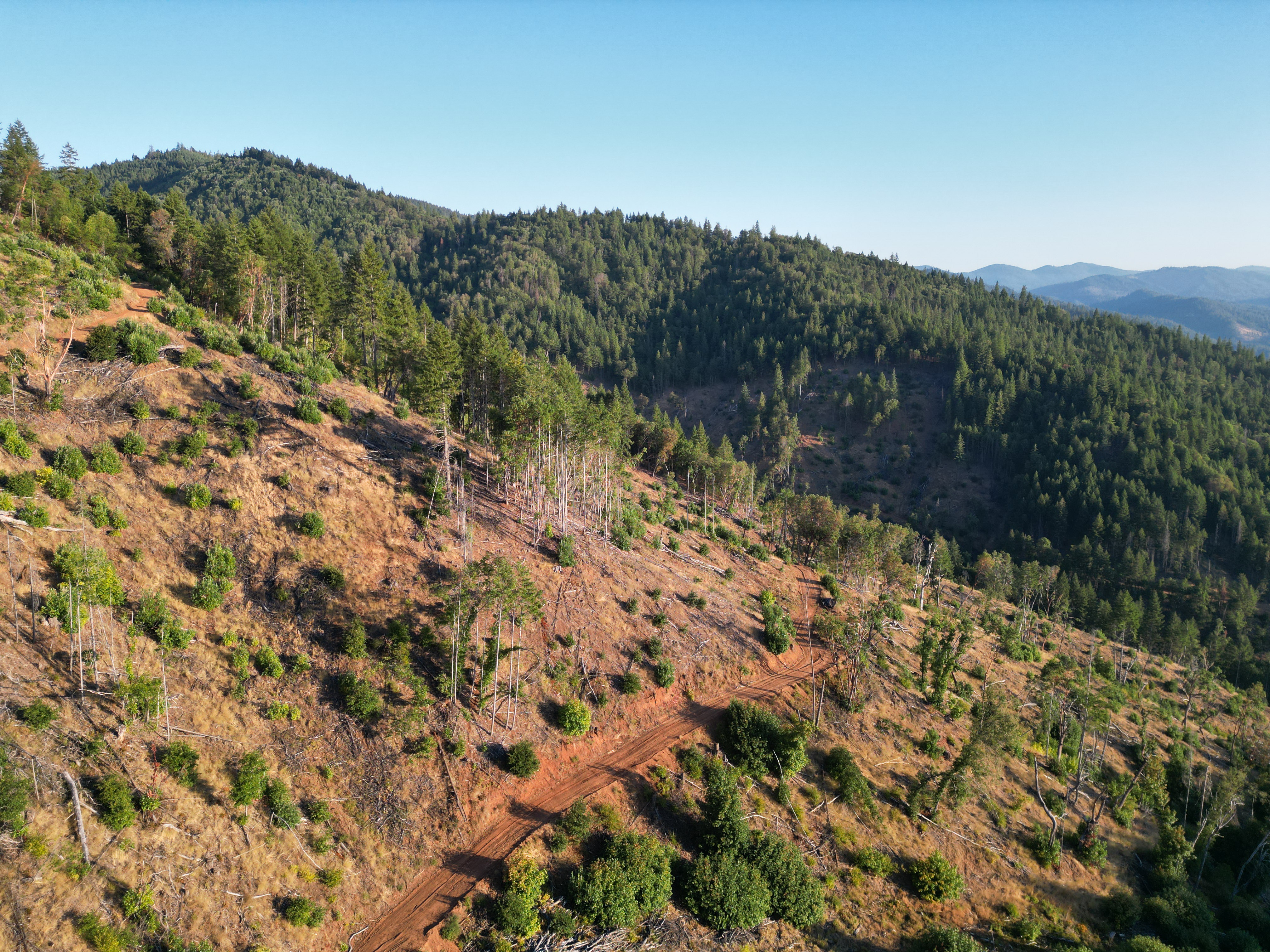 471 AC-E Evans Creek Rd