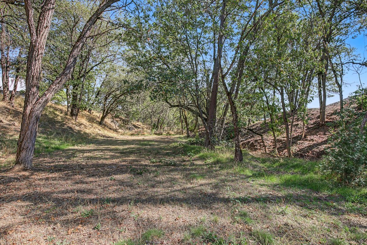 Listing Image 46