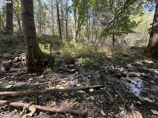 5 Acres-Hwy 238 Applegate, OR