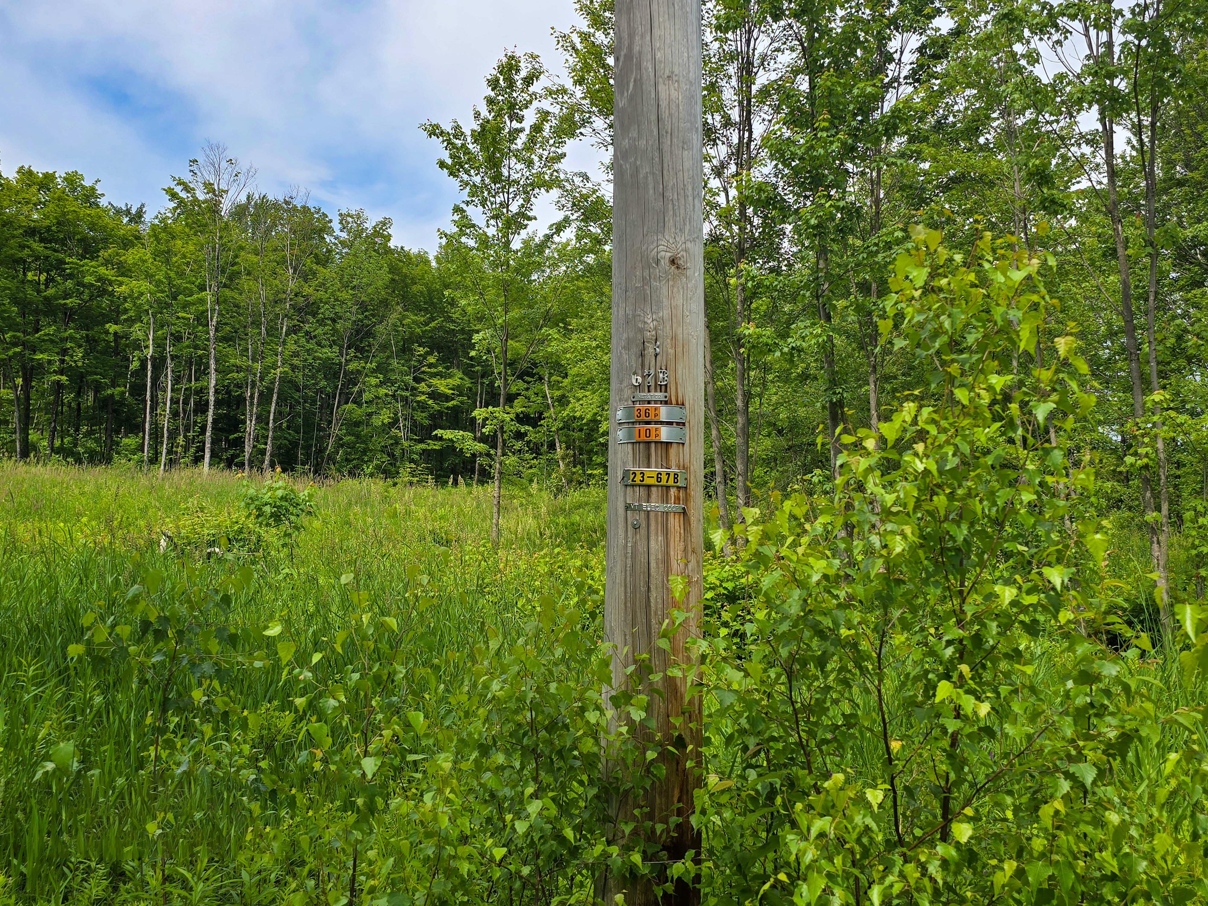 Listing Image 39