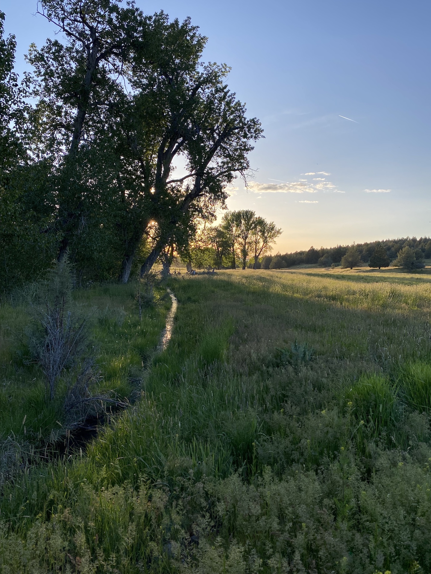 Parker Creek Ranch