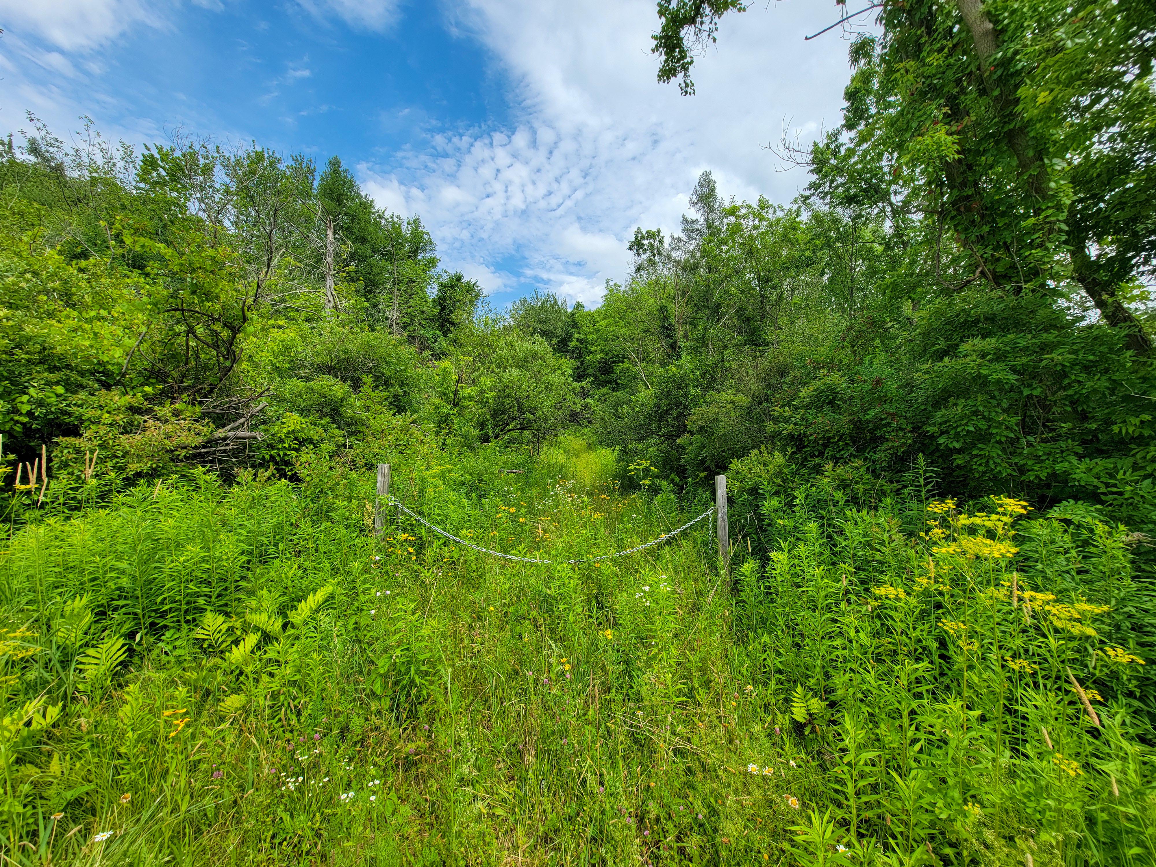 1073 Chapel Rd - Bennington