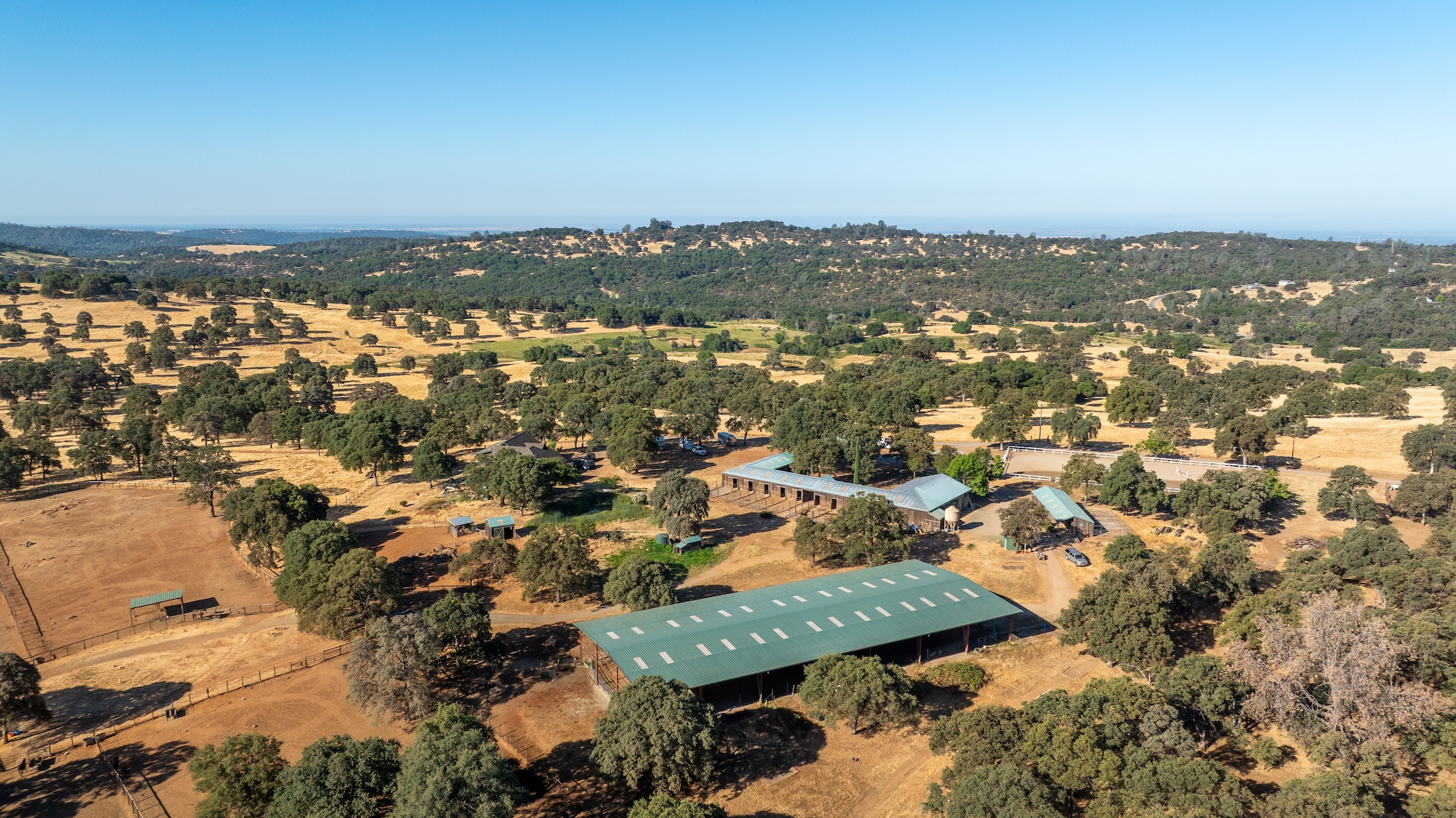 Blue Fountain Farm