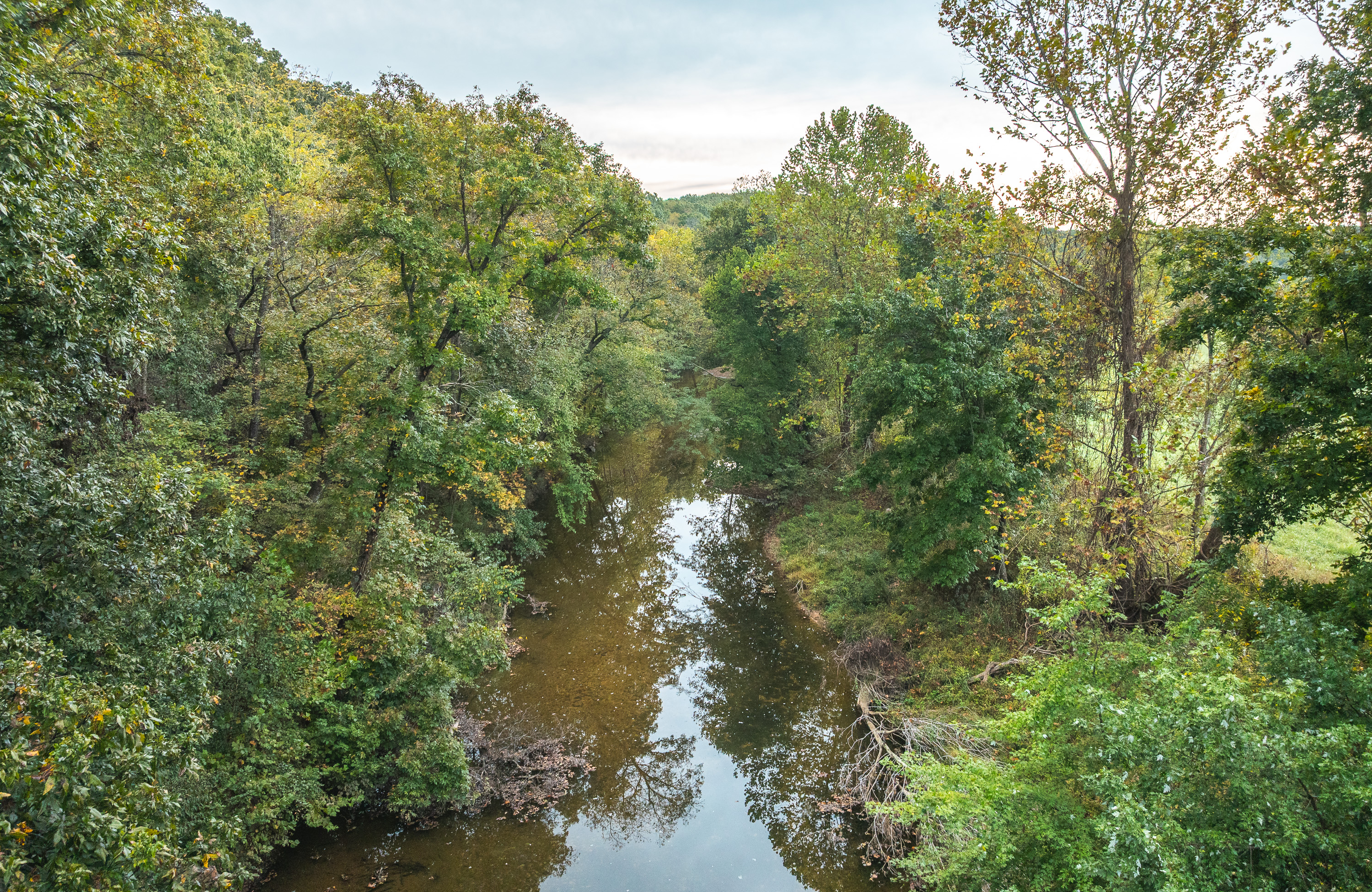 Listing Image 87