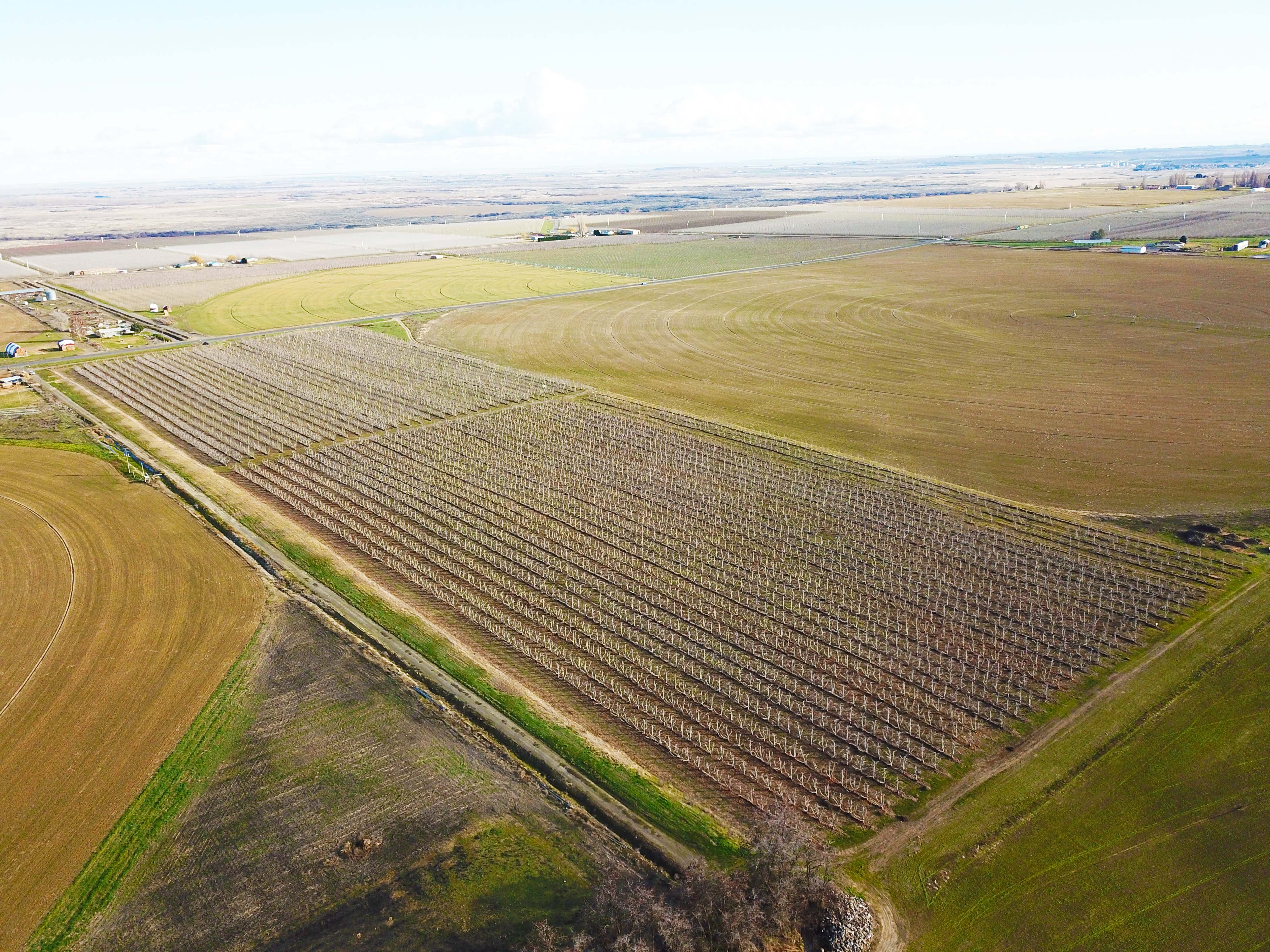 Fern Road Irrigated farm