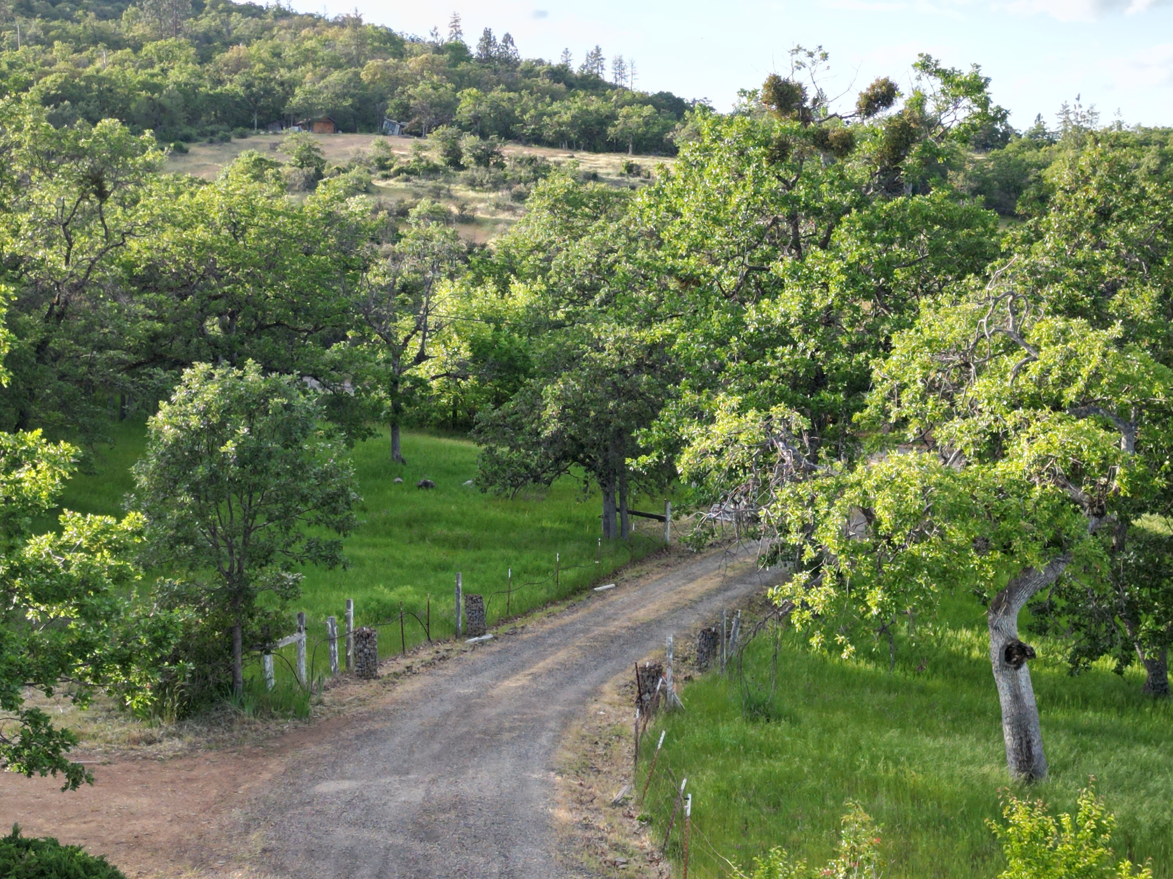 Rolling Hills