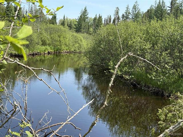 Pure Seclusion River Frontage 50181073