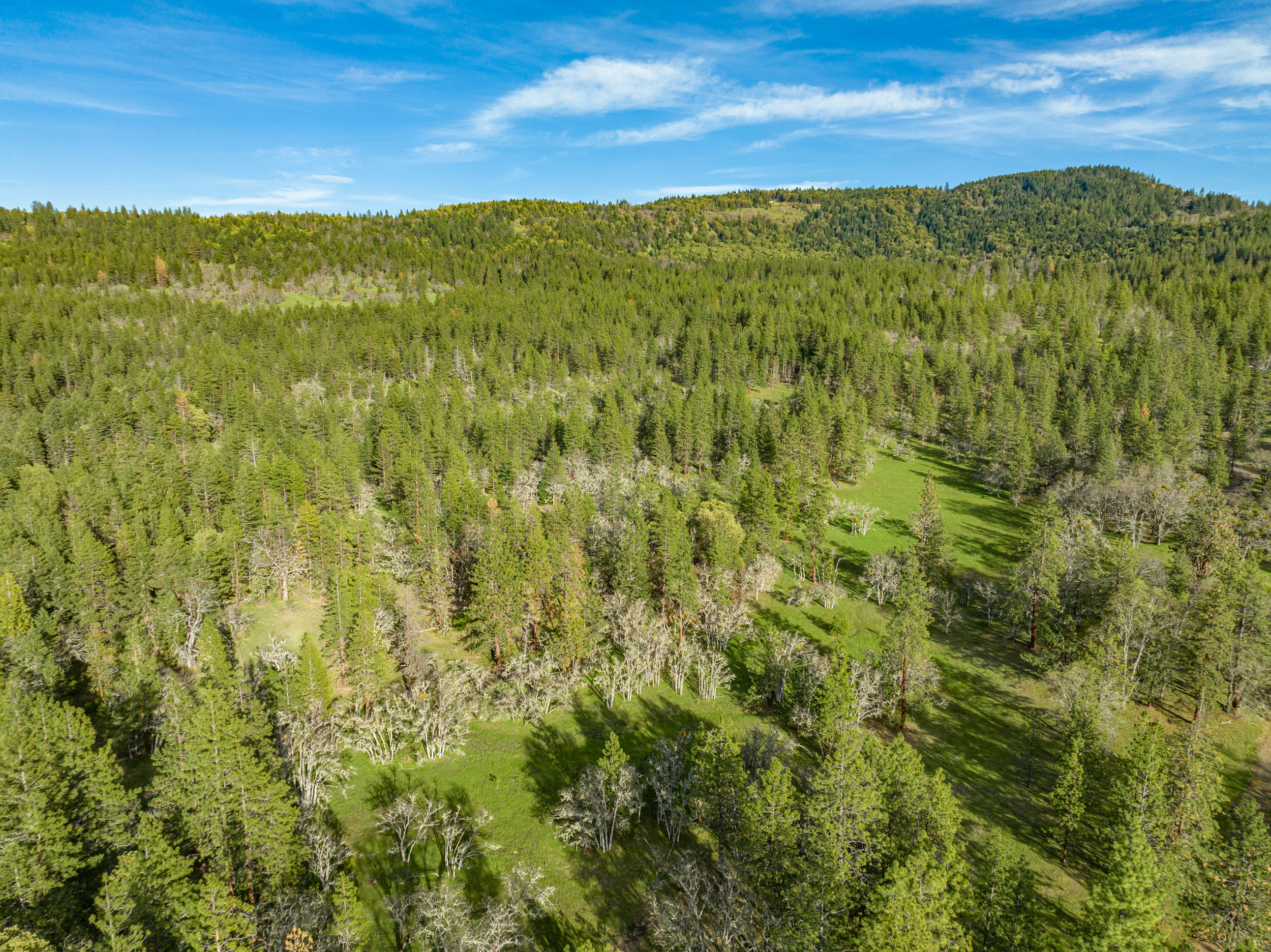 Mount Baldy Ranch