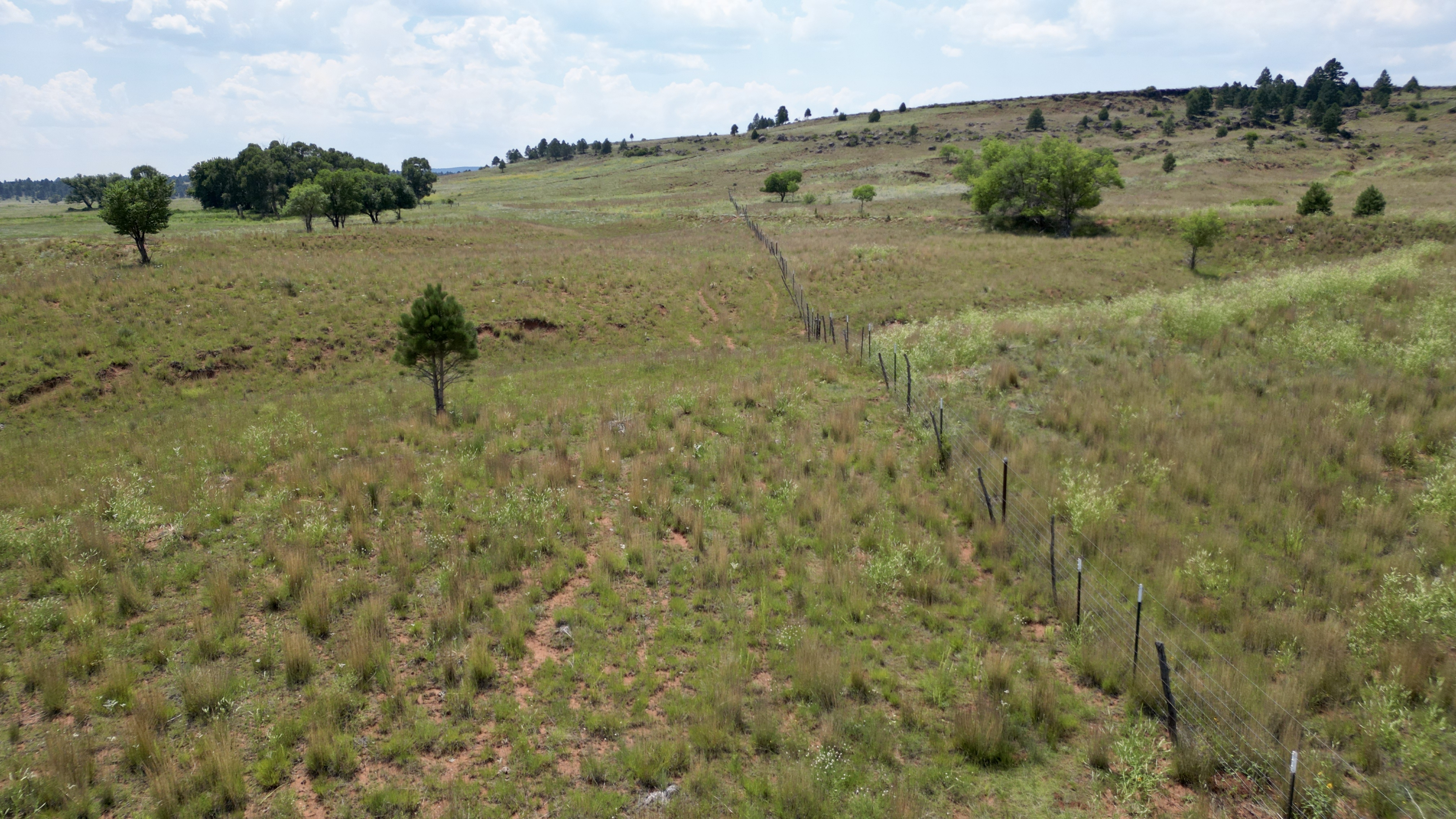 OLC Ranch