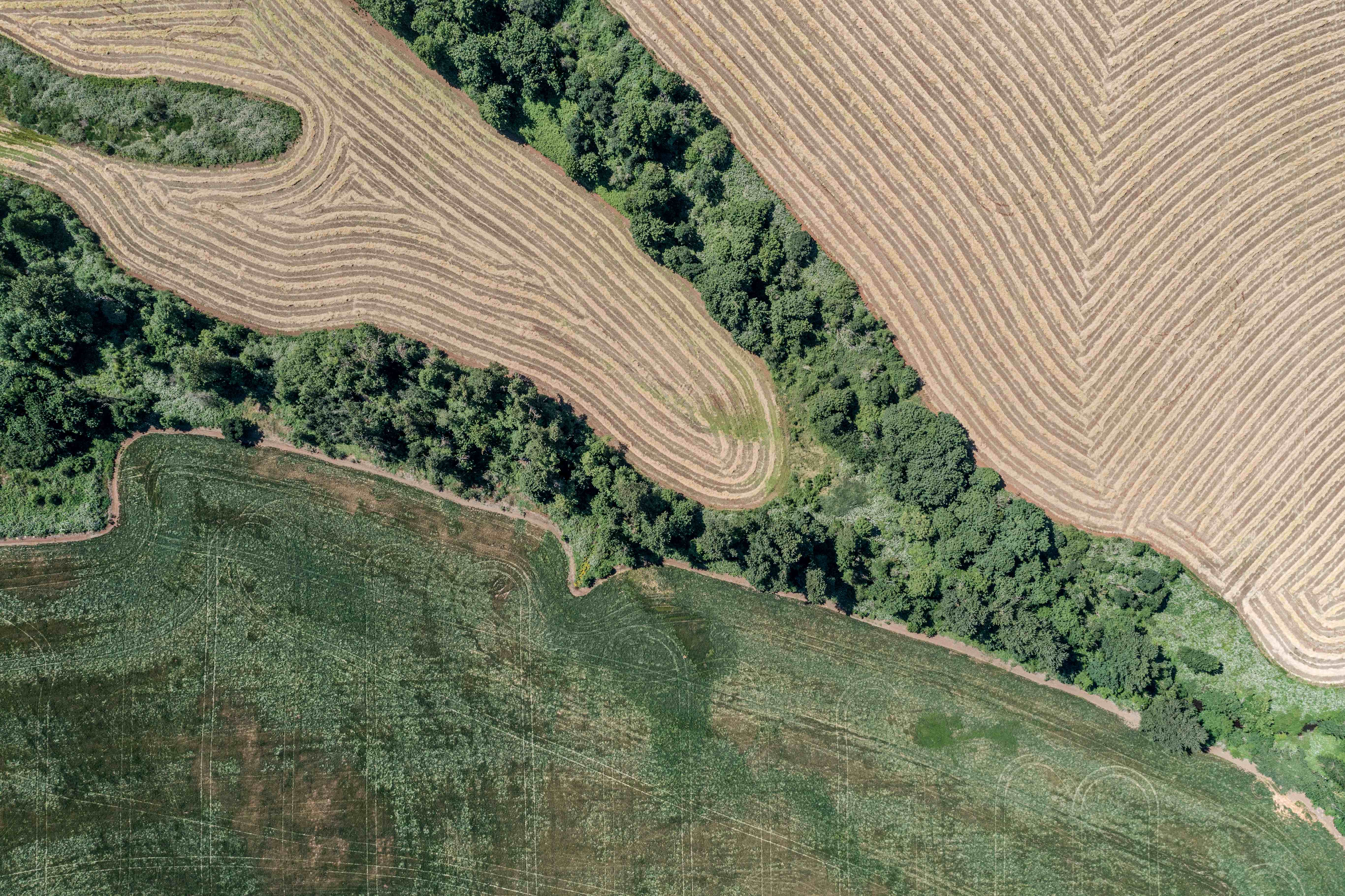 Sublimity 152 — Productive Willamette Valley Farm for Sale with Creek Frontage and Homesite Potential