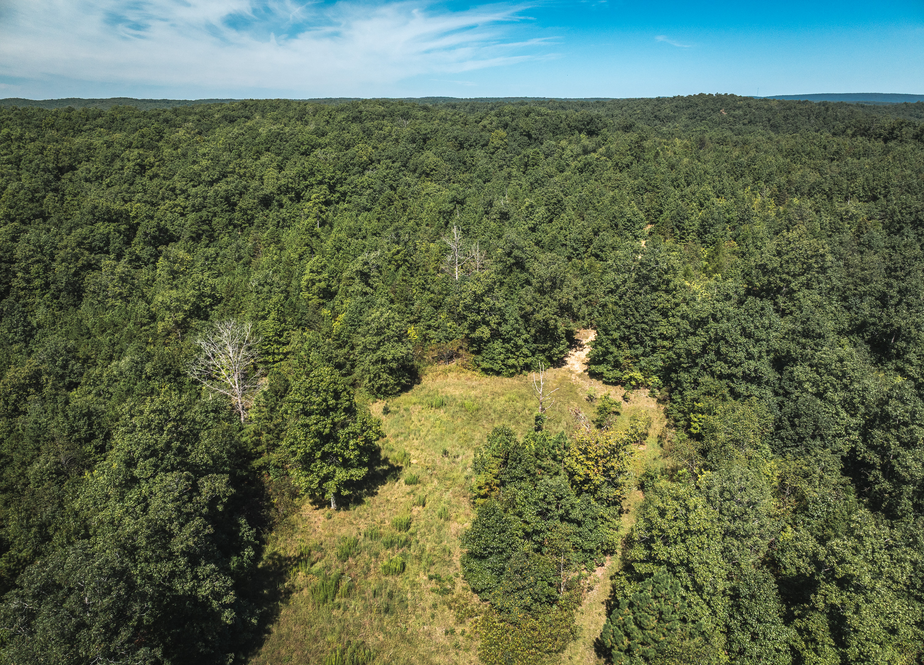Ozark Wilderness Retreat