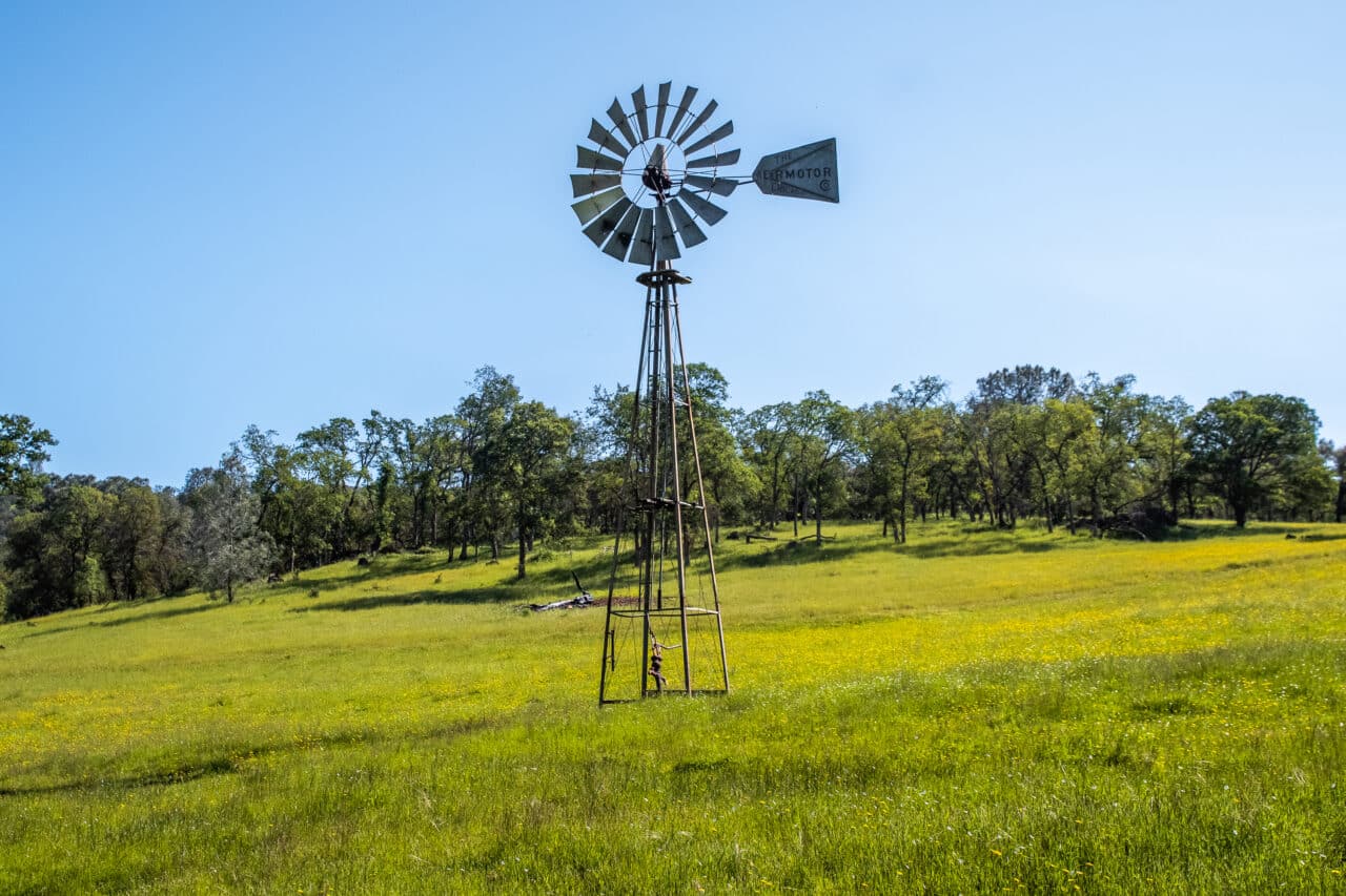The Gann Ranch