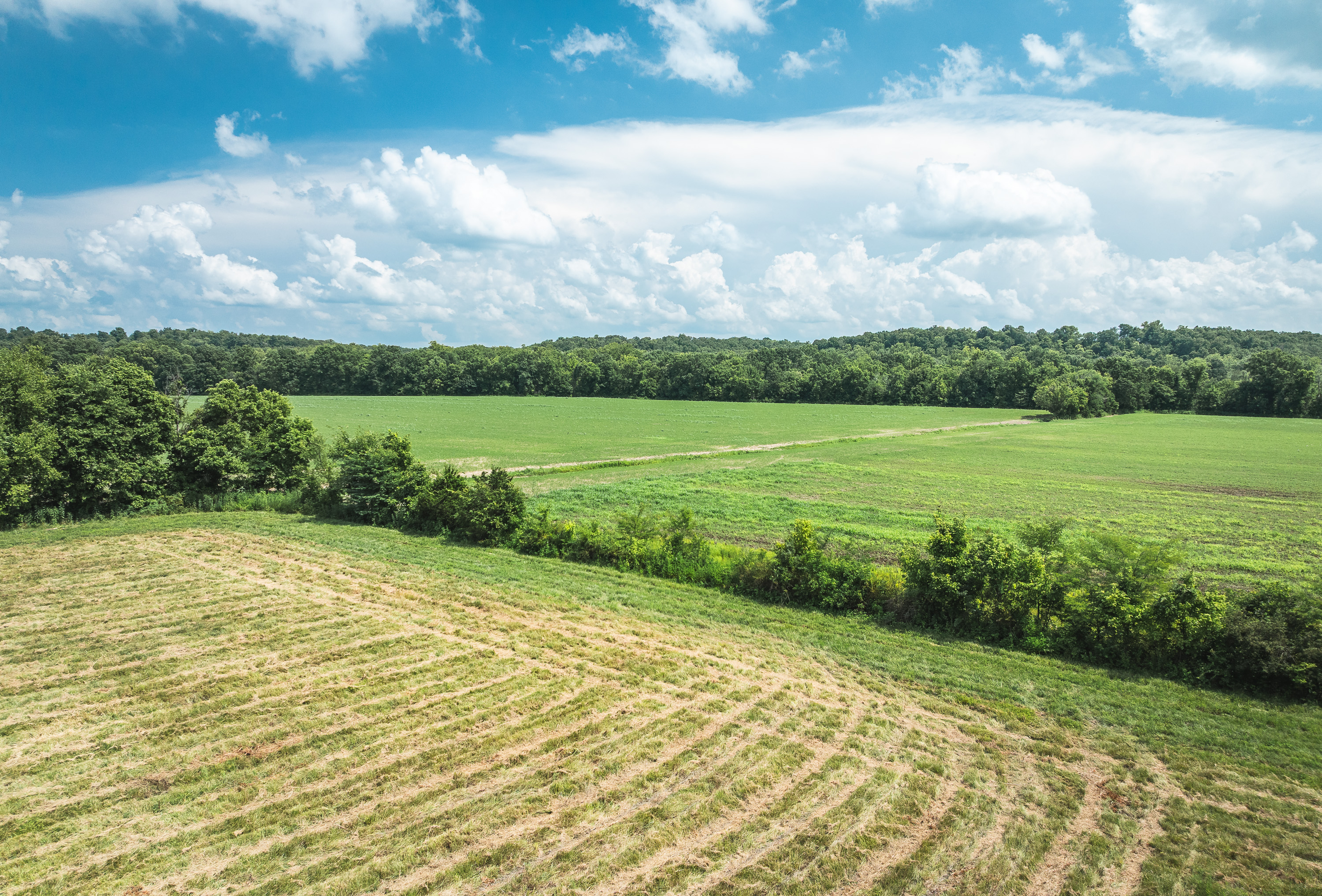 Gasconade Angus Ranch
