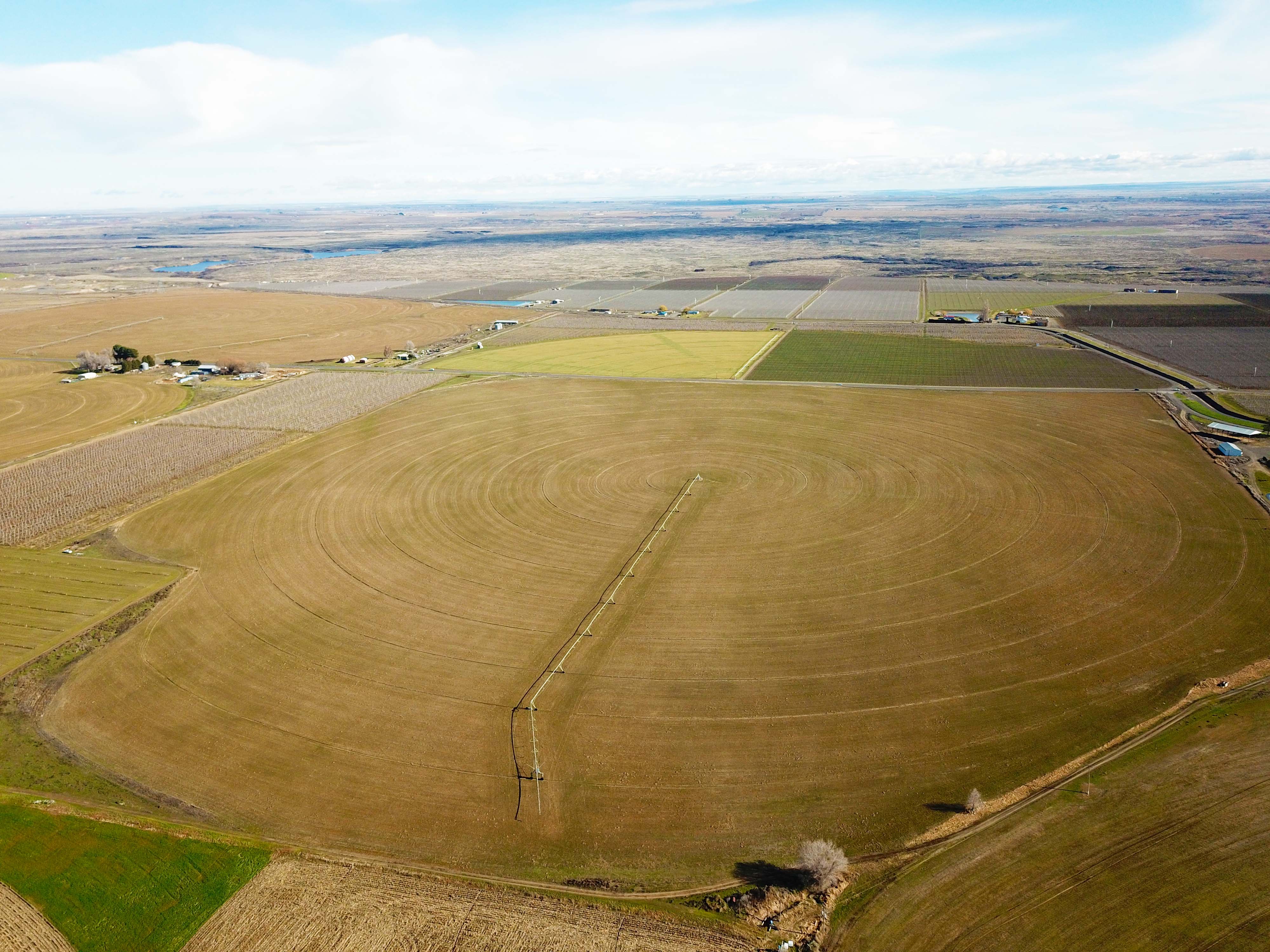 Fern Road Irrigated farm
