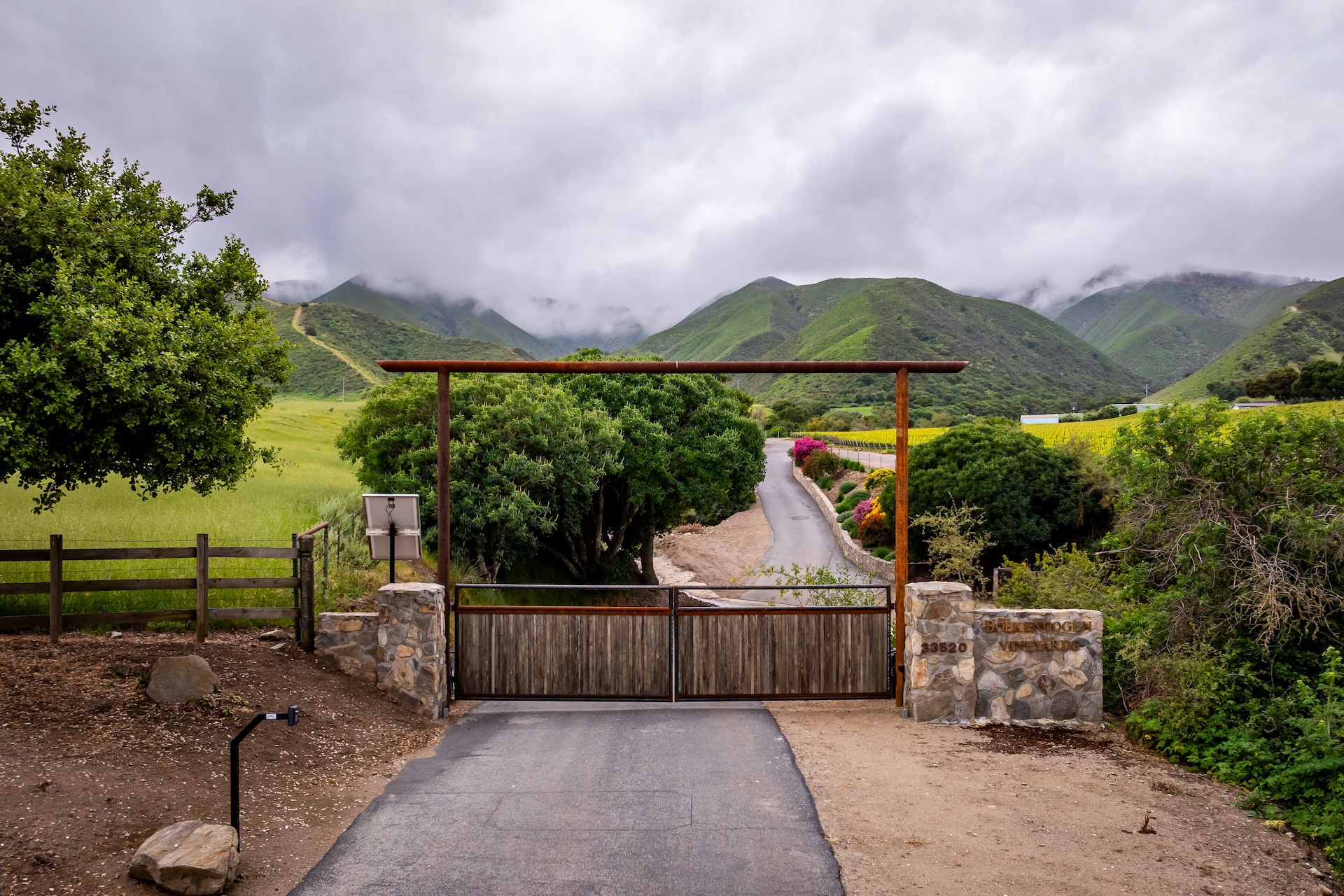 Boekenoogen Santa Lucia Highlands Vineyard