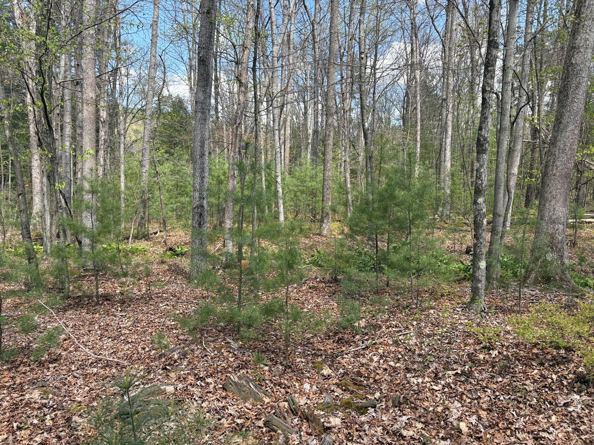Listing Image 23