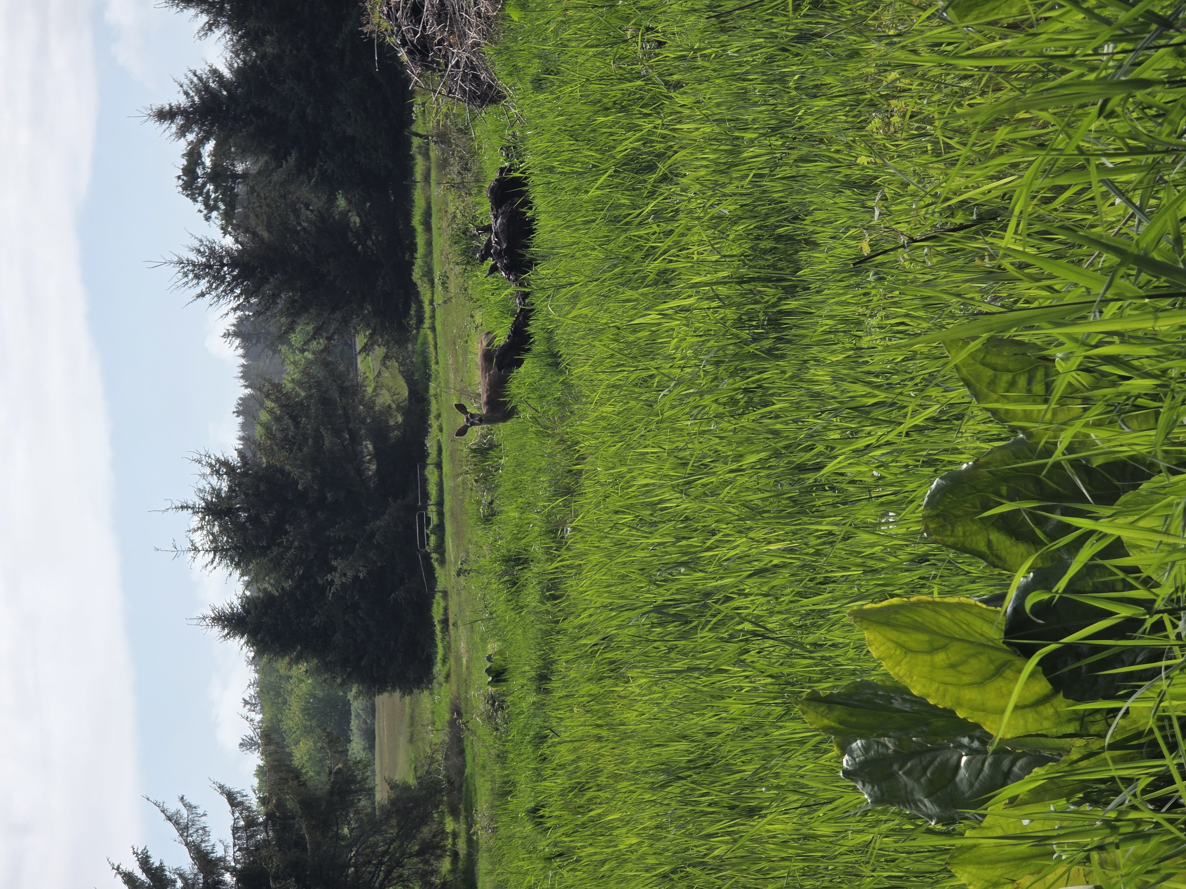Tagg Ranch
