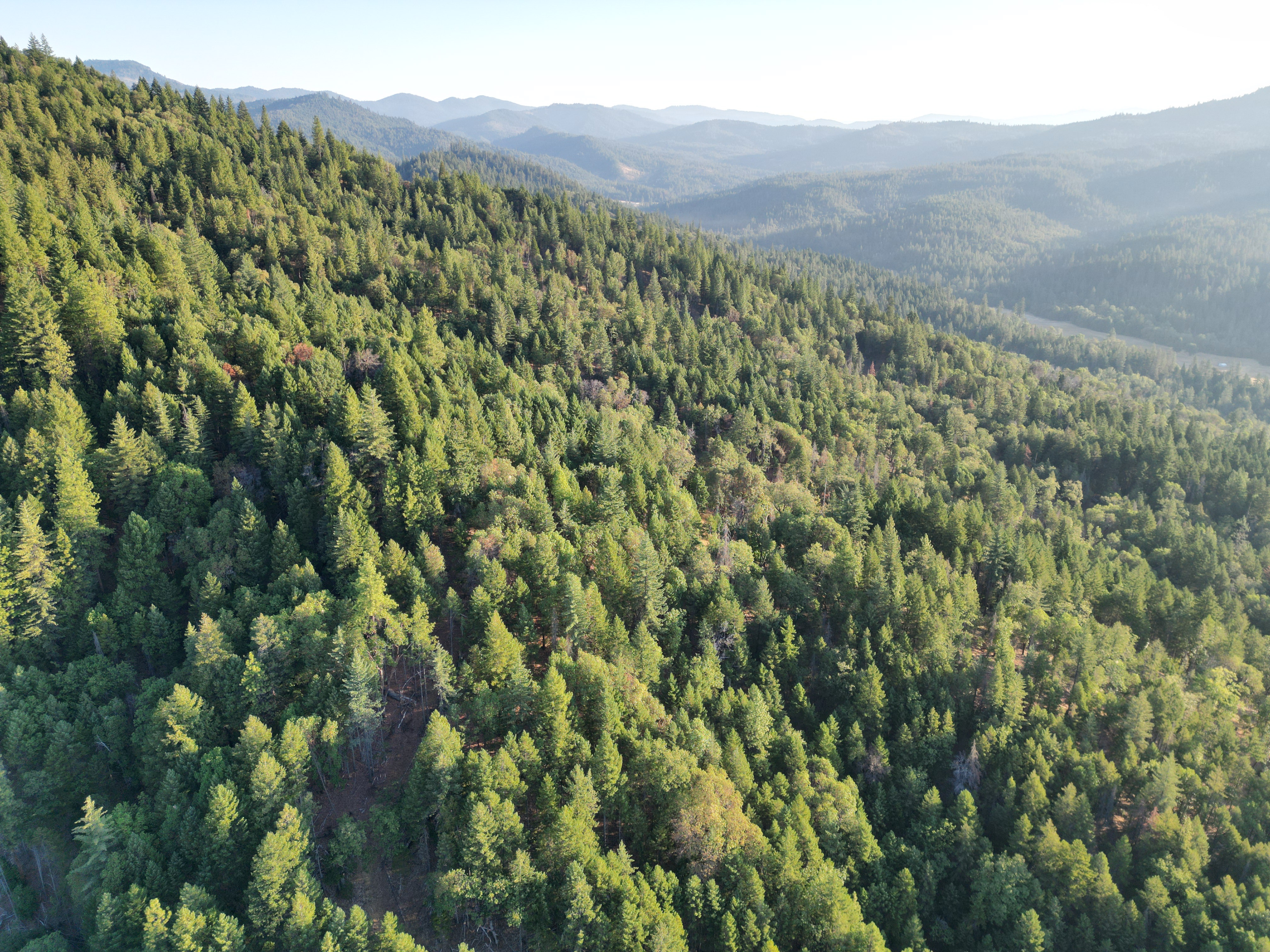 471 AC-E Evans Creek Rd