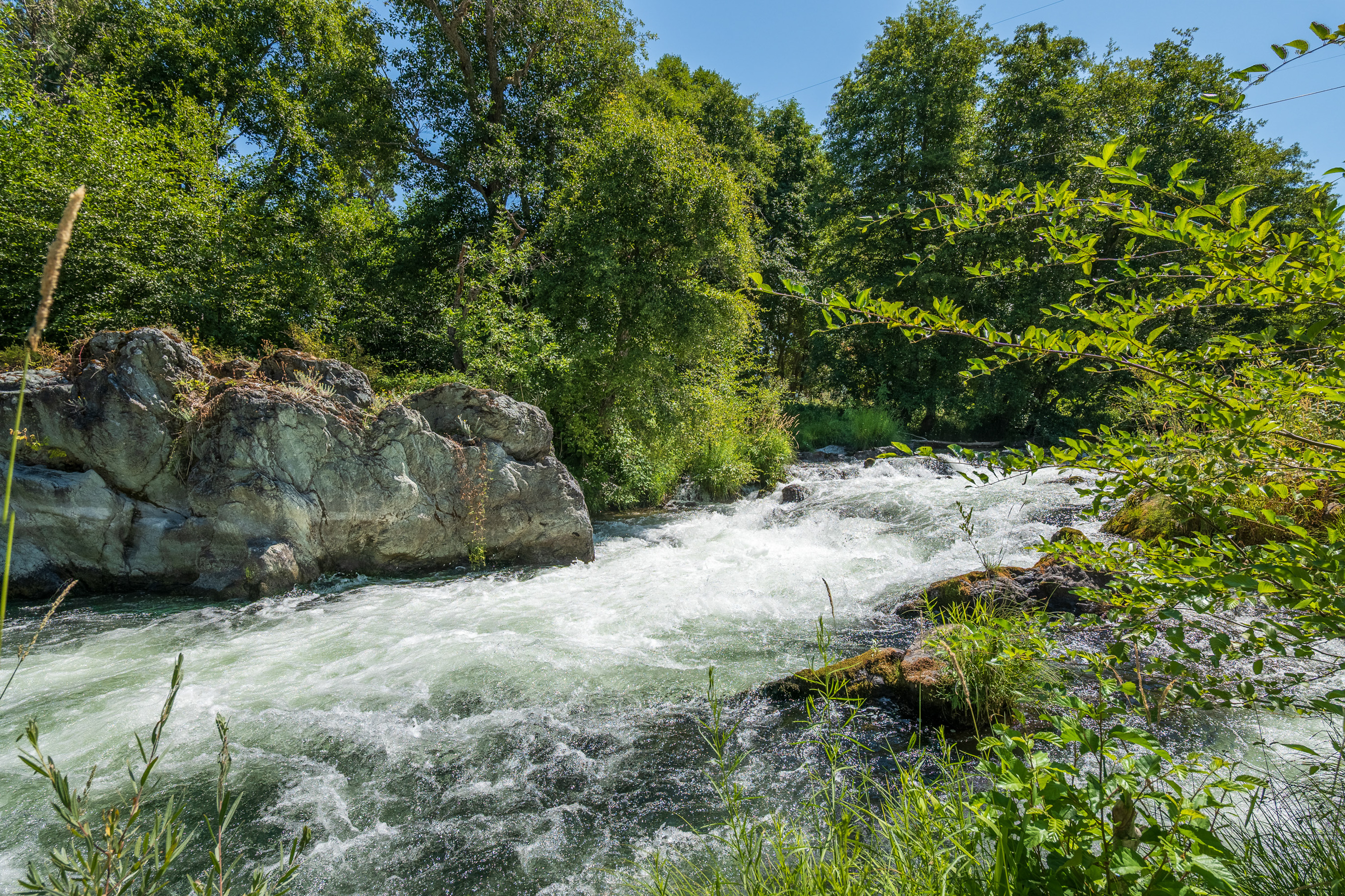 Applegate River Retreat - 11677 Hwy 238