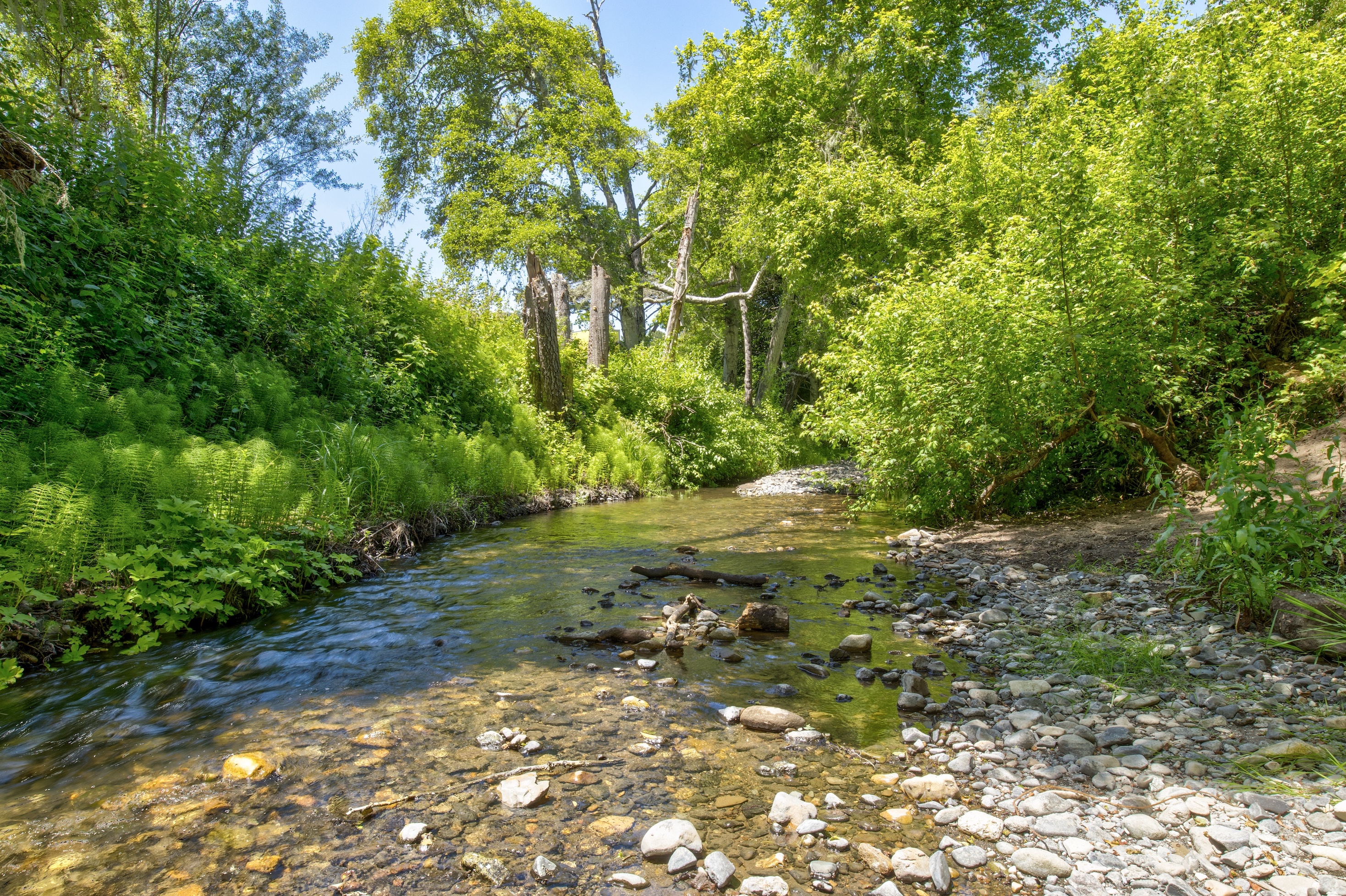 San Gregorio Creekside Farm