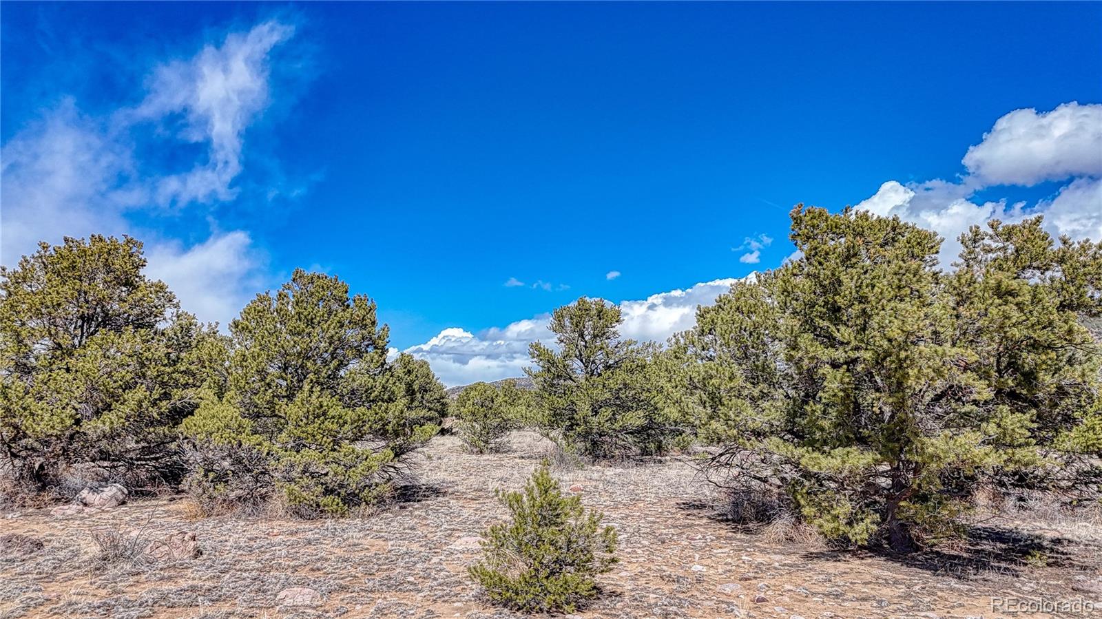 This Salida property is ready for you to build your dream home!