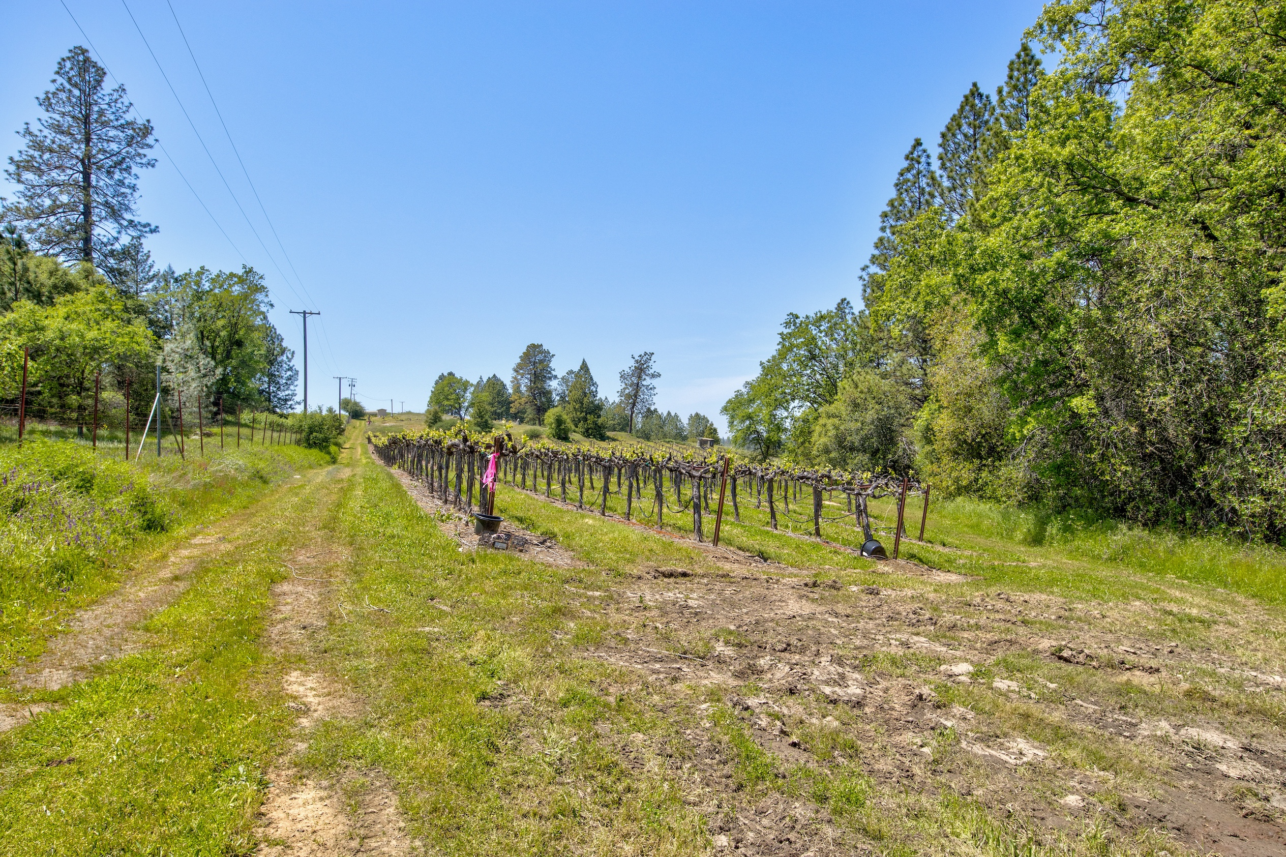 Listing Image 69