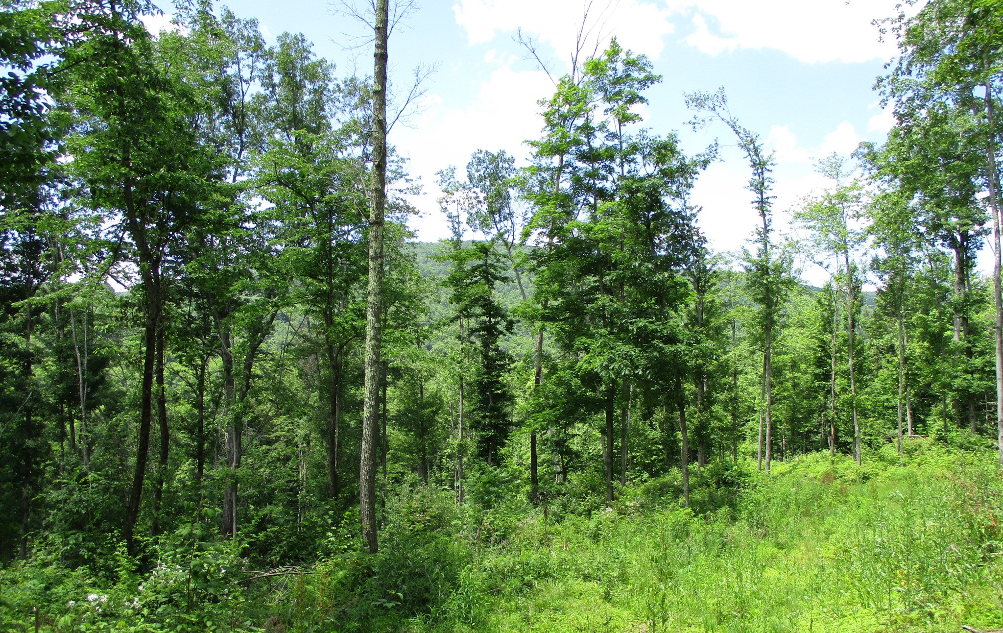 Listing Image 14