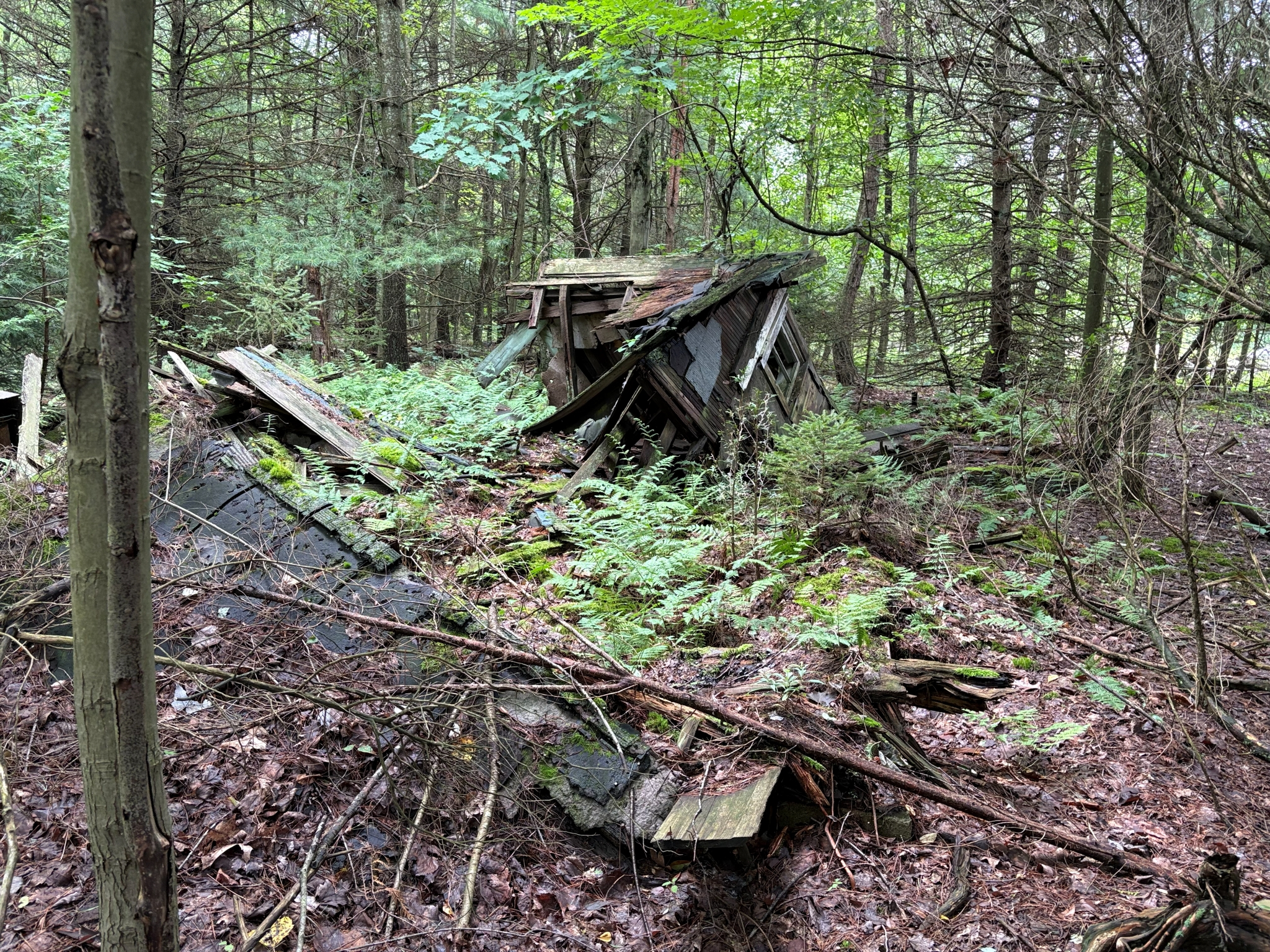 Listing Image 10