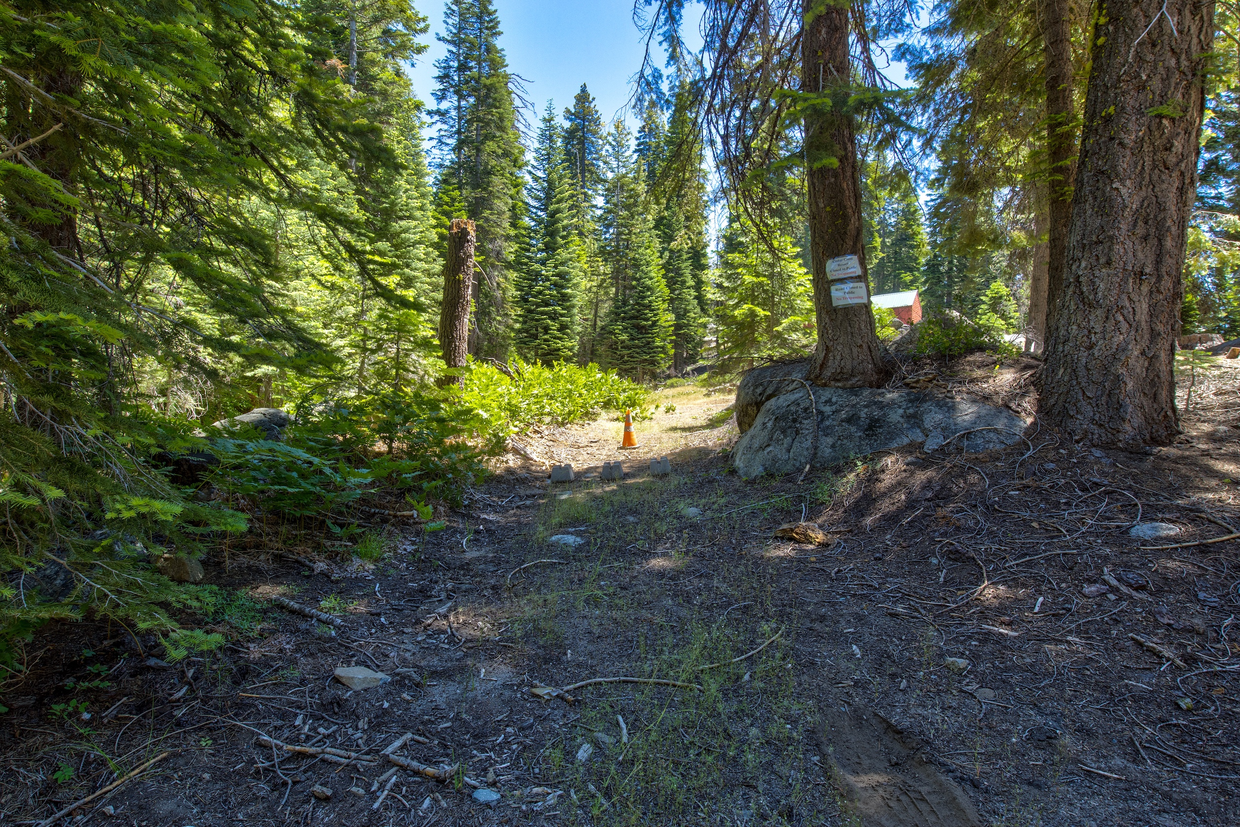 Listing Image 64