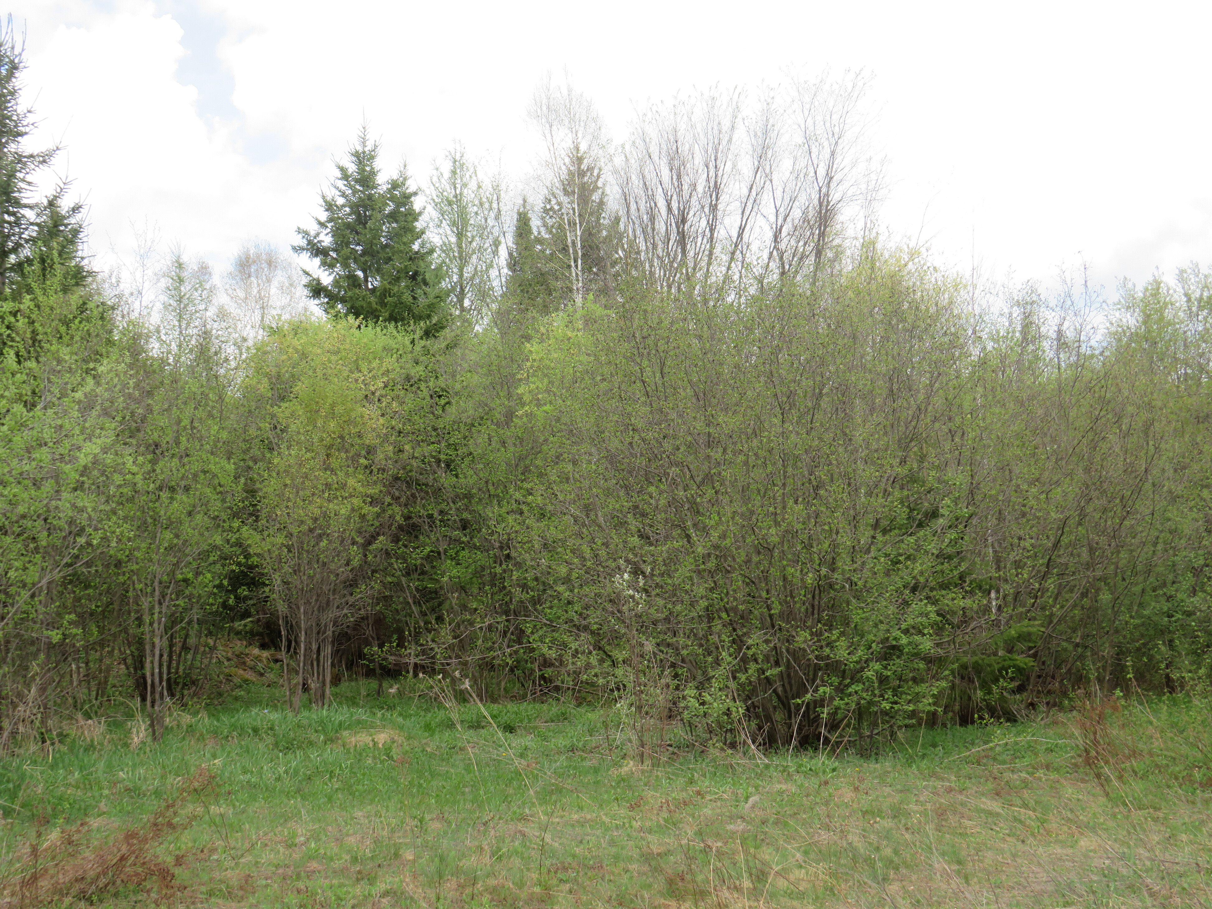 160 Acre Wilderness Retreat 50175391