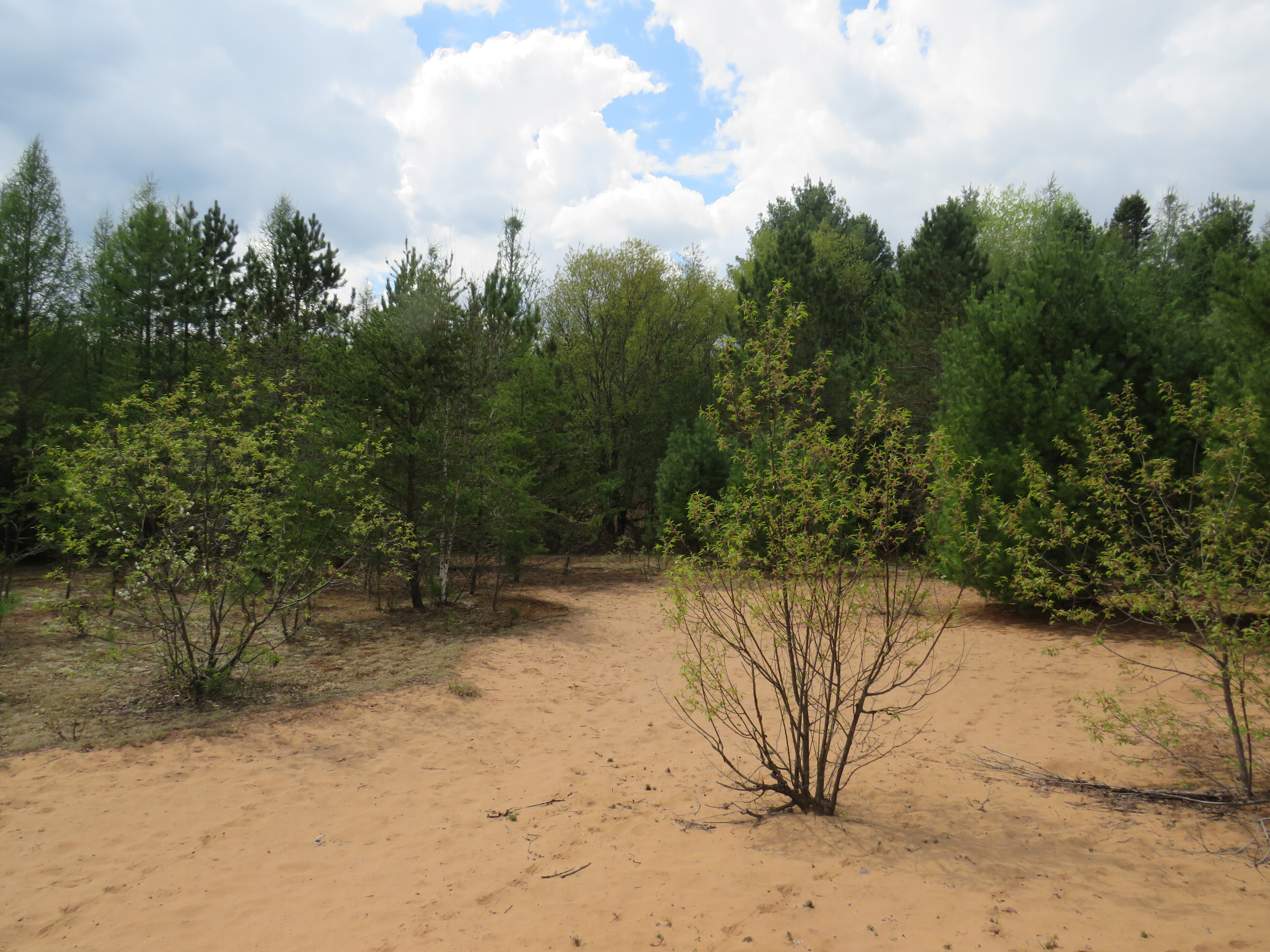 160 Acre Wilderness Retreat 50175391