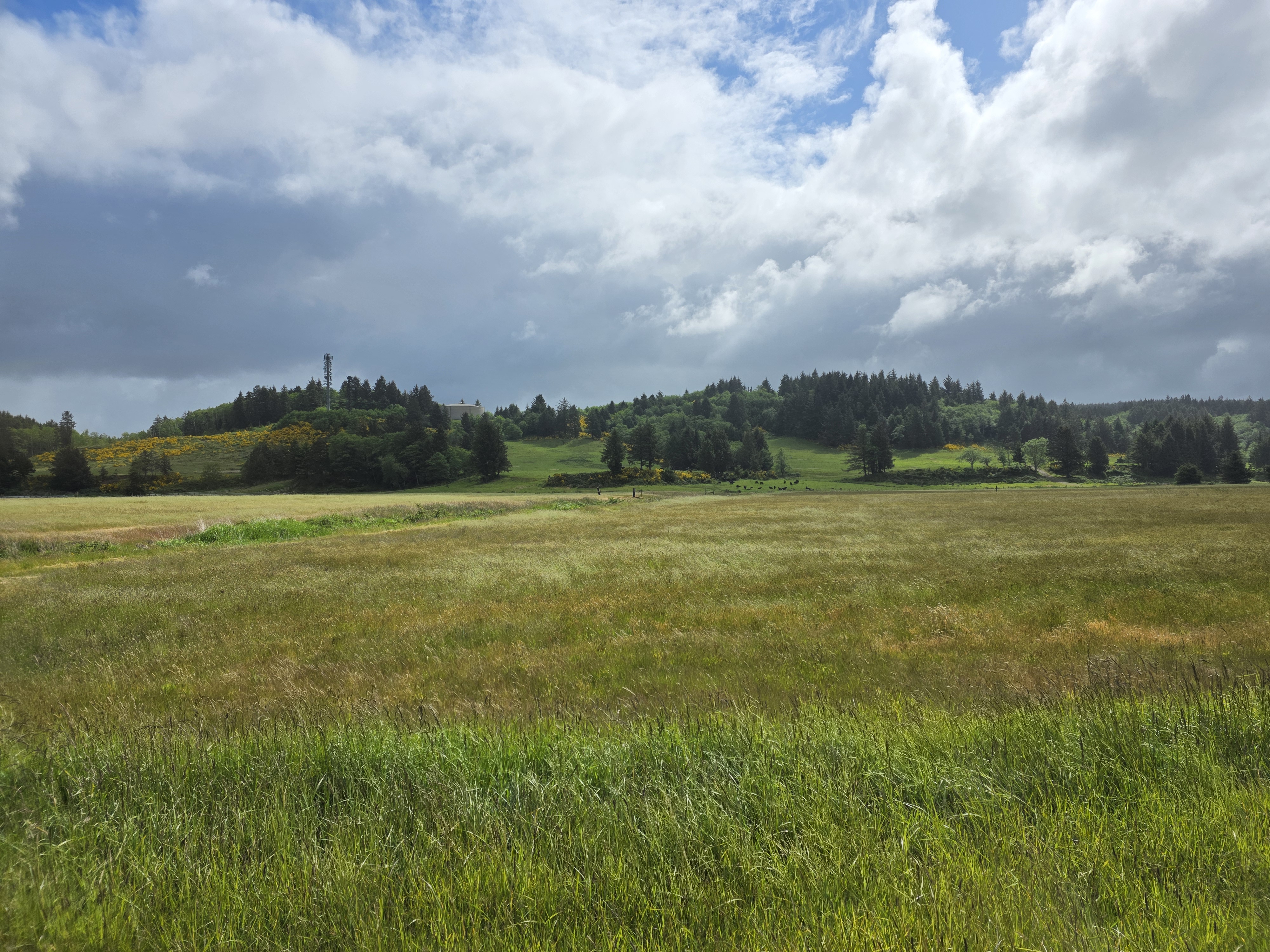 Tagg Ranch