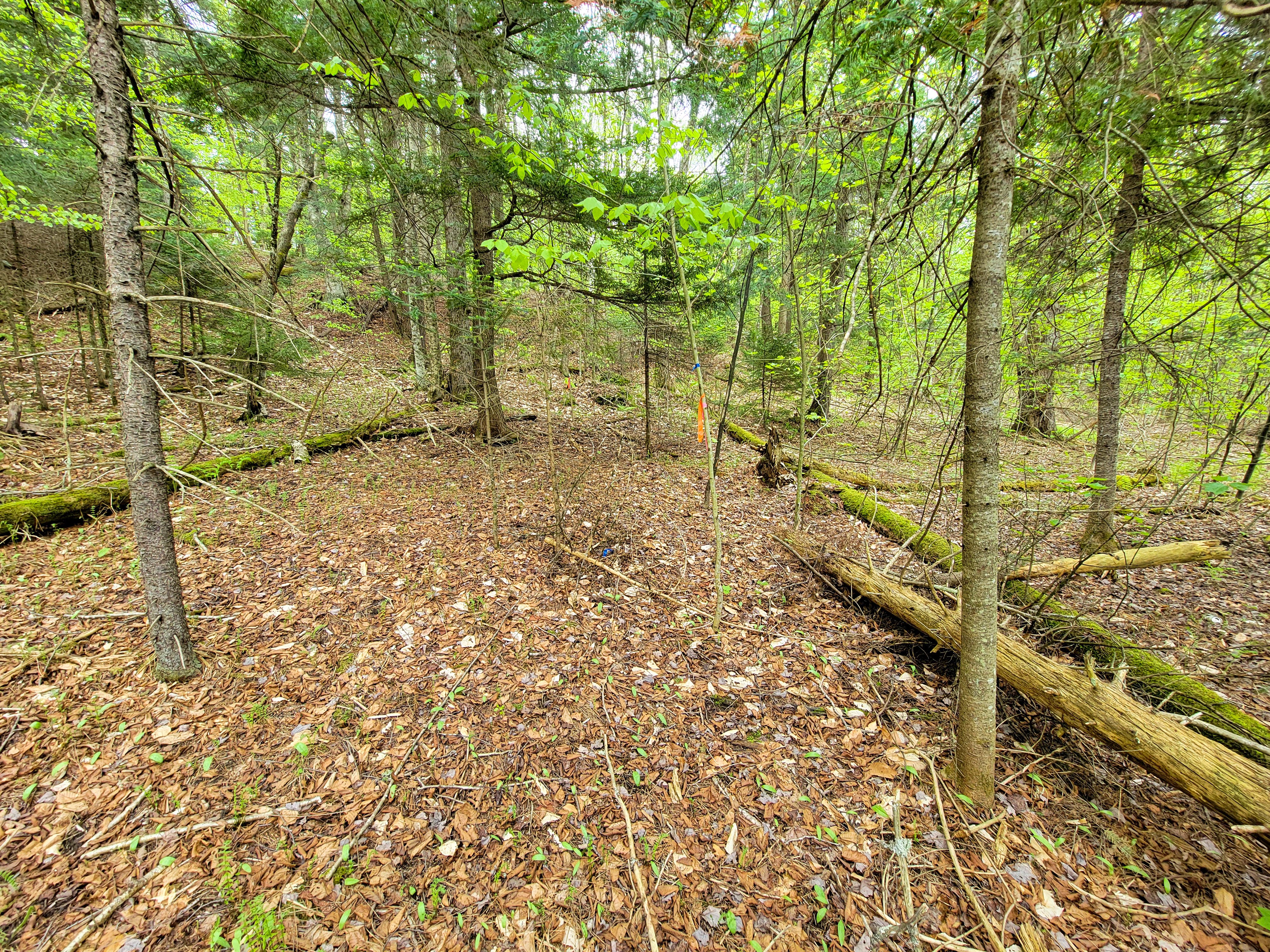 Listing Image 45